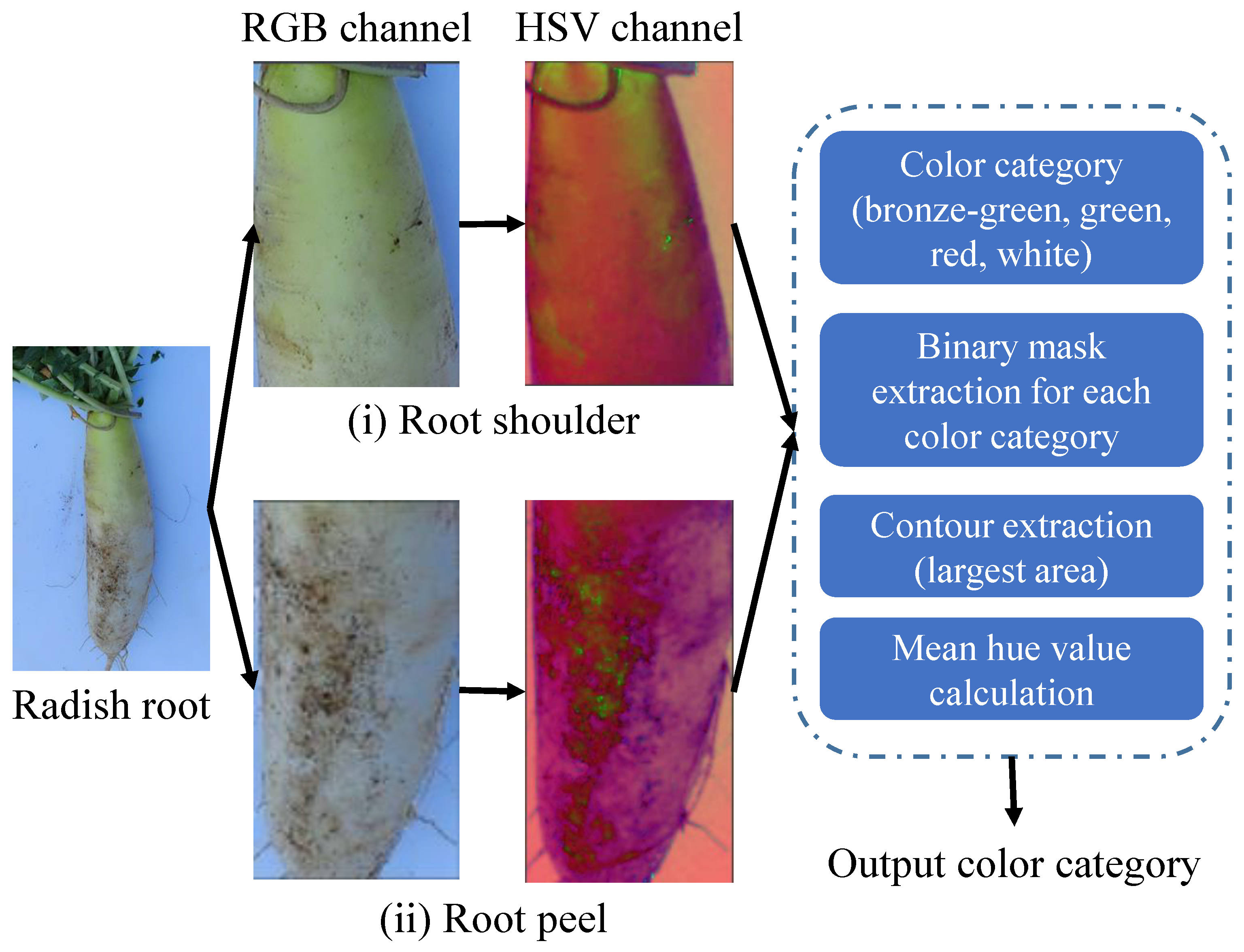 Agronomy 13 01630 g008