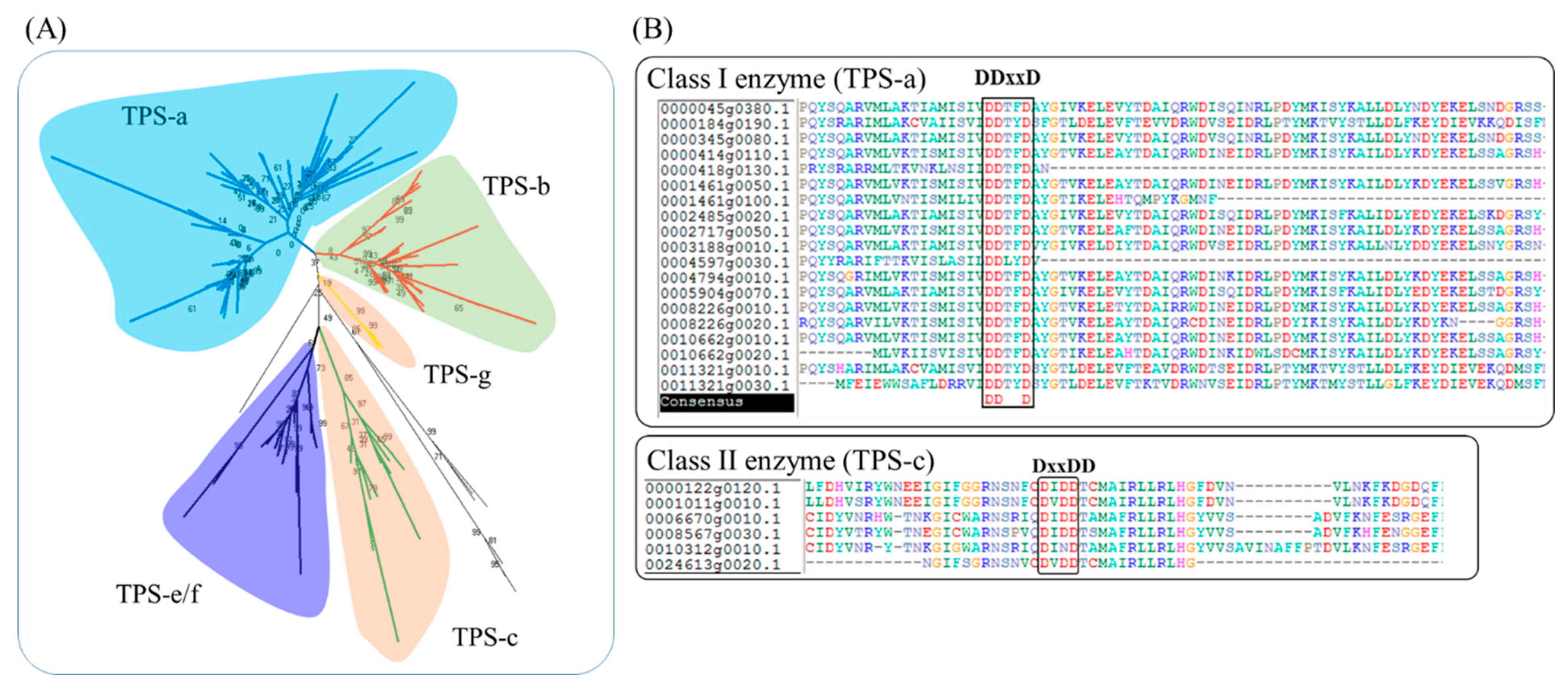 Agronomy 13 01632 g001 Agronomy 13 01632 g001