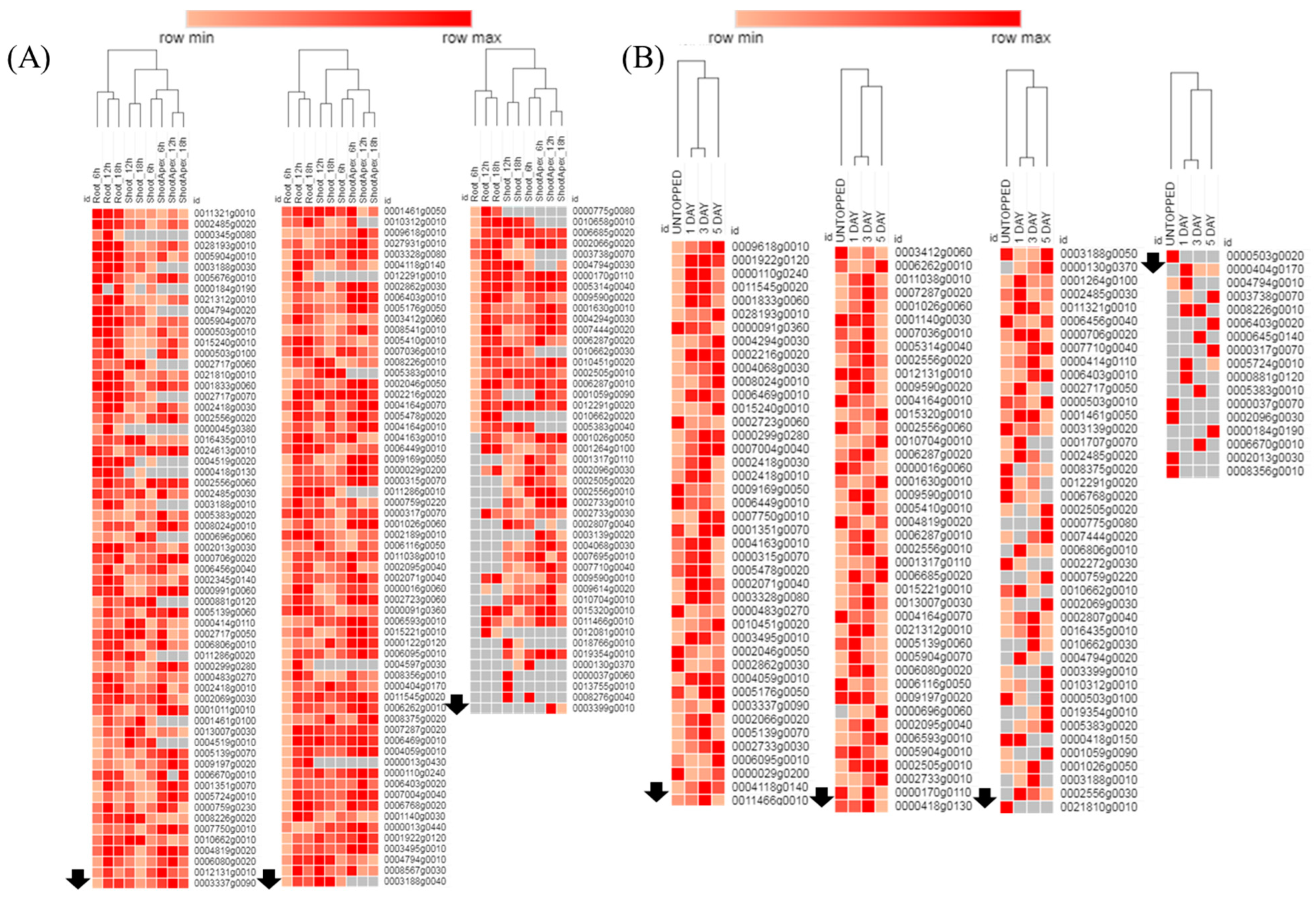 Agronomy 13 01632 g002 Agronomy 13 01632 g002