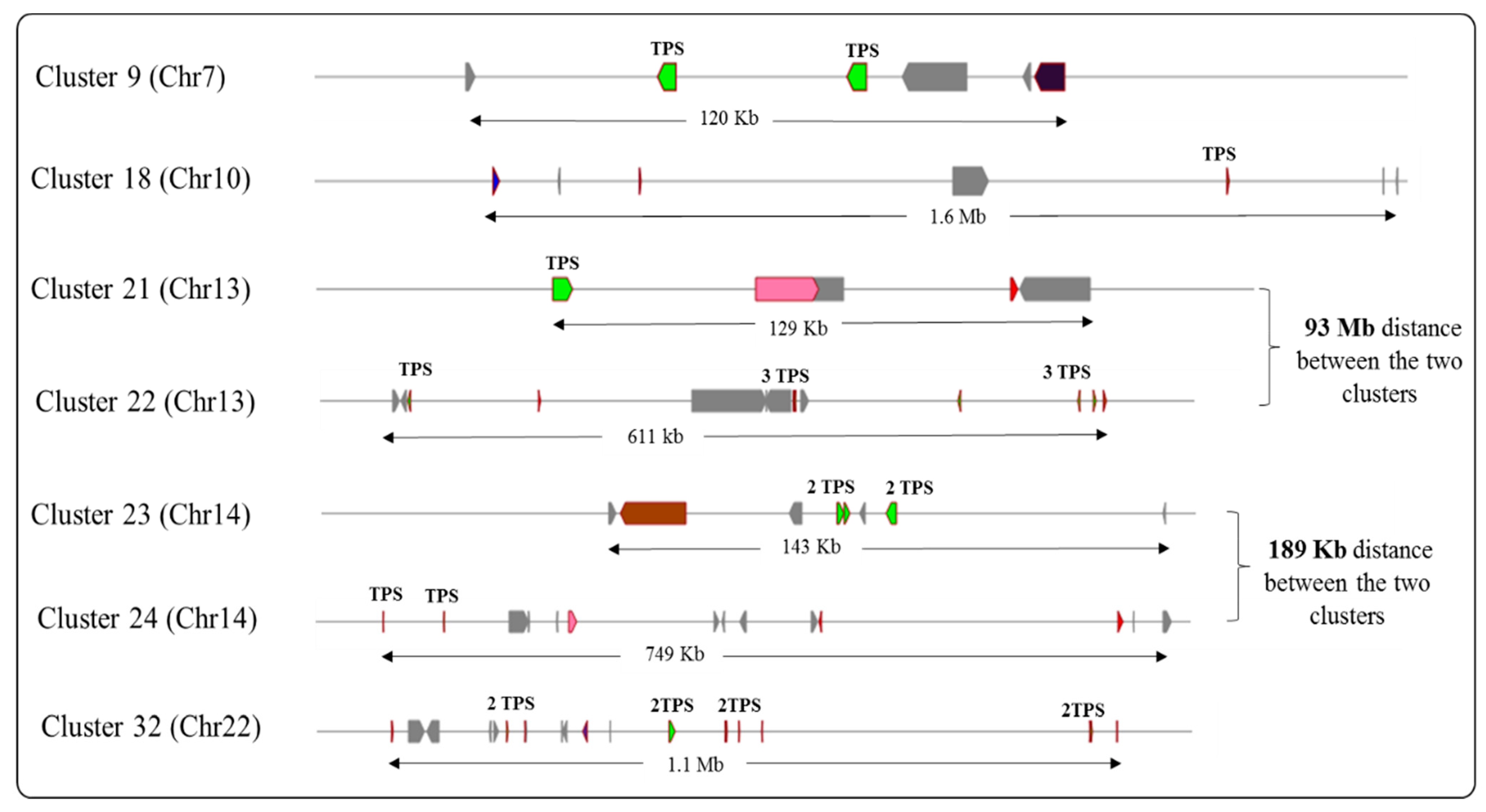 Agronomy 13 01632 g004 Agronomy 13 01632 g004