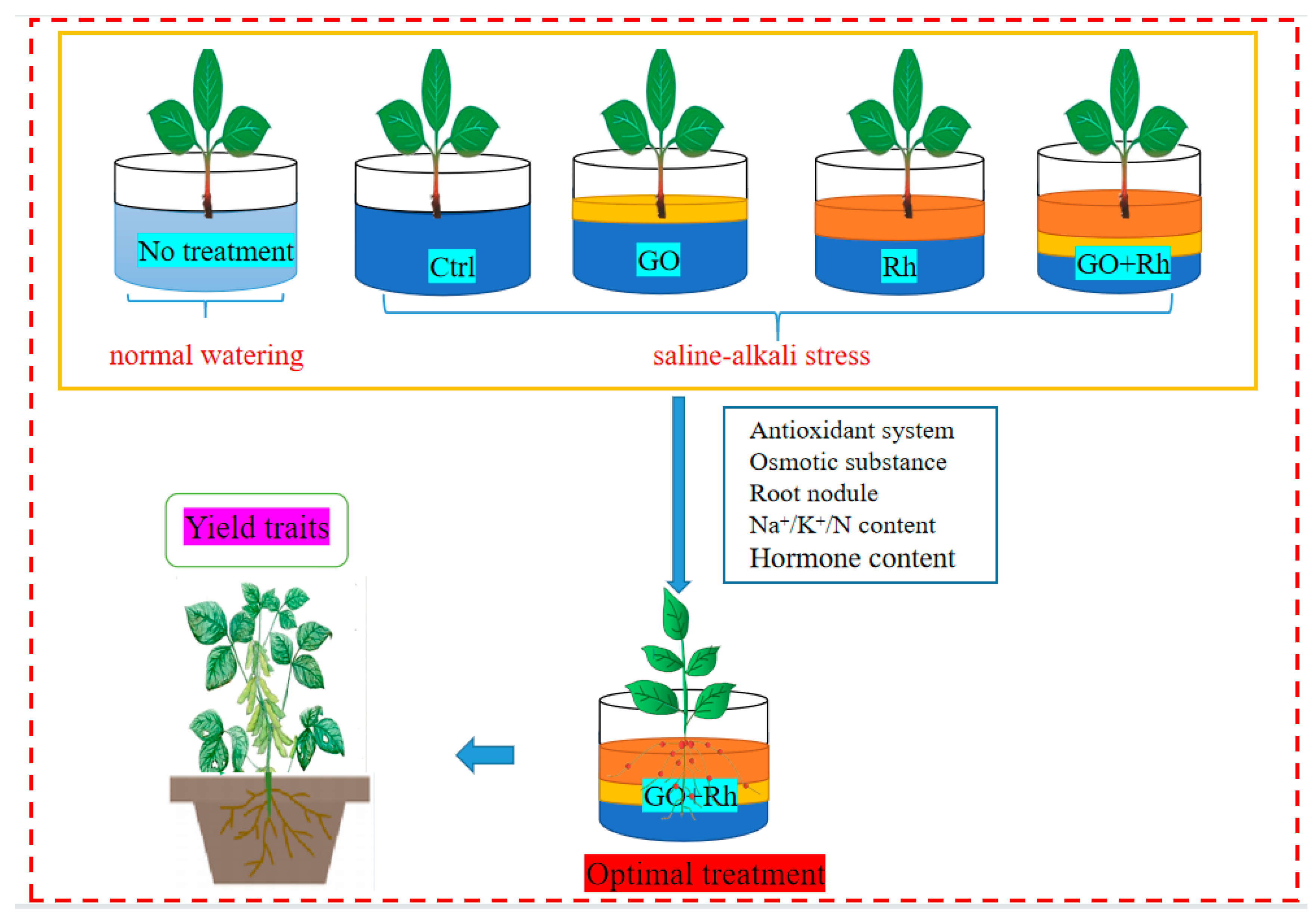 Agronomy 13 01637 g001