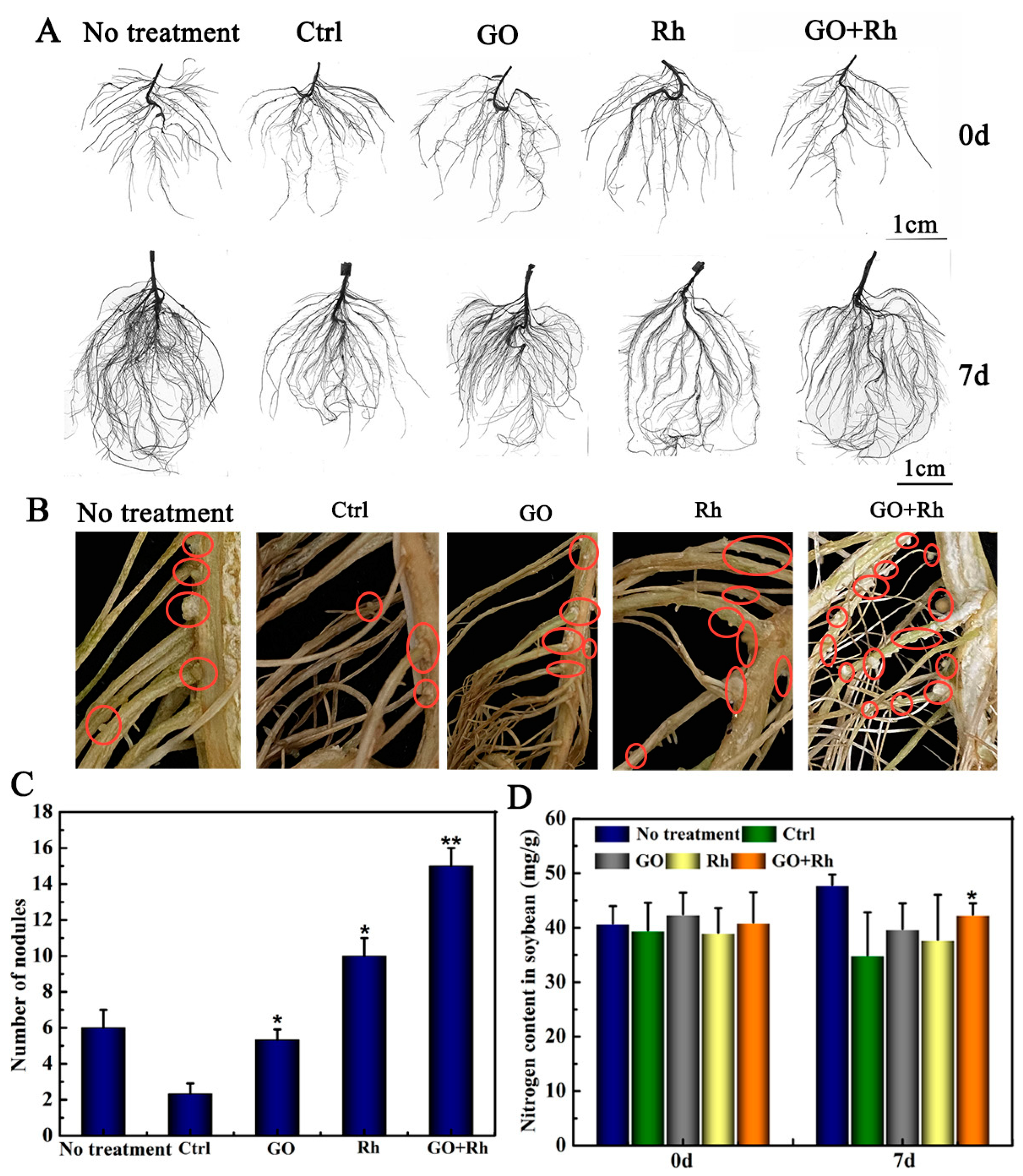 Agronomy 13 01637 g004