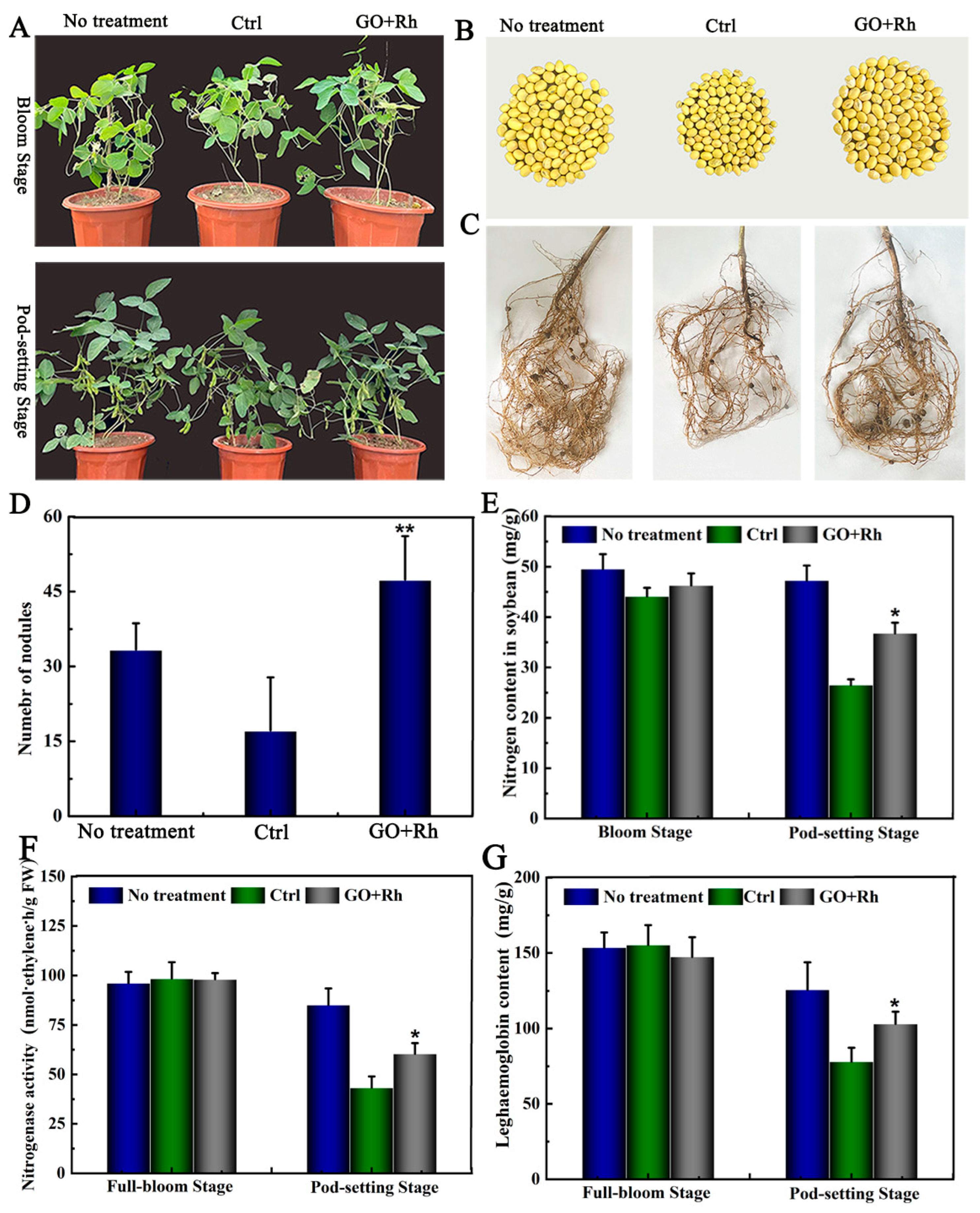Agronomy 13 01637 g010