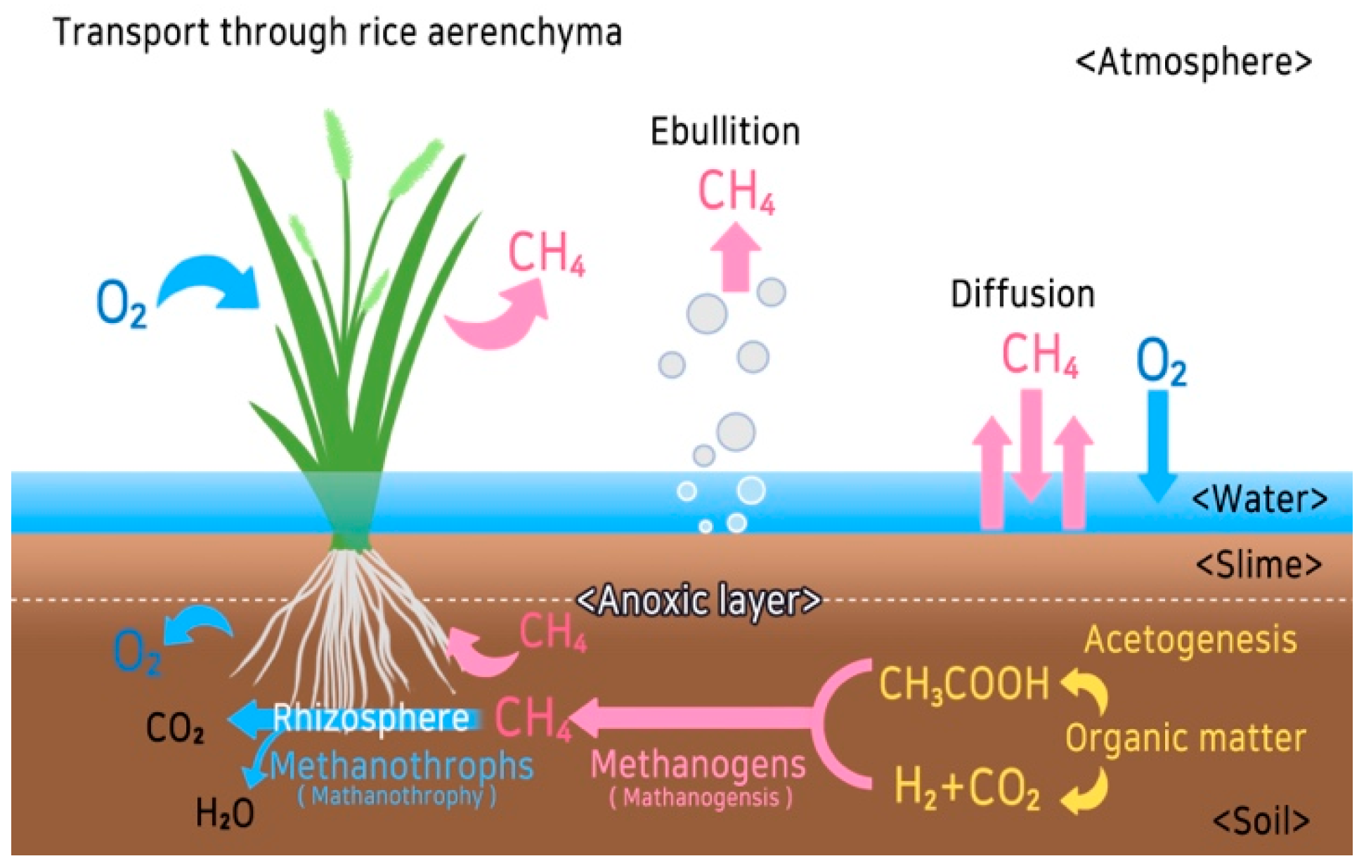 Agronomy Free FullText Risk Management of Methane Reduction Clean Development Mechanism