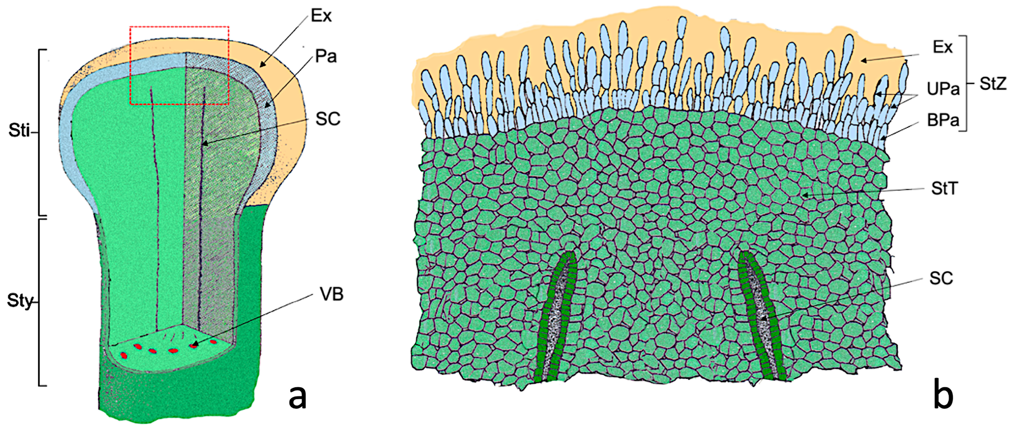 Agronomy 13 01643 g001 Agronomy 13 01643 g001