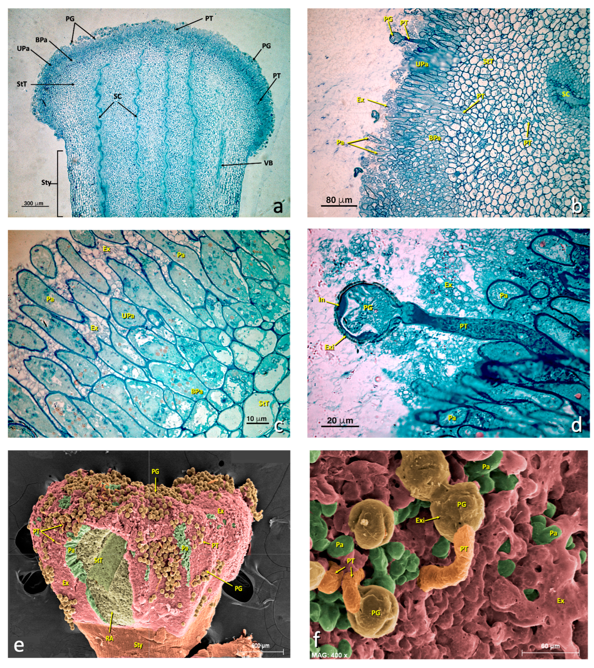 Agronomy 13 01643 g003 Agronomy 13 01643 g003