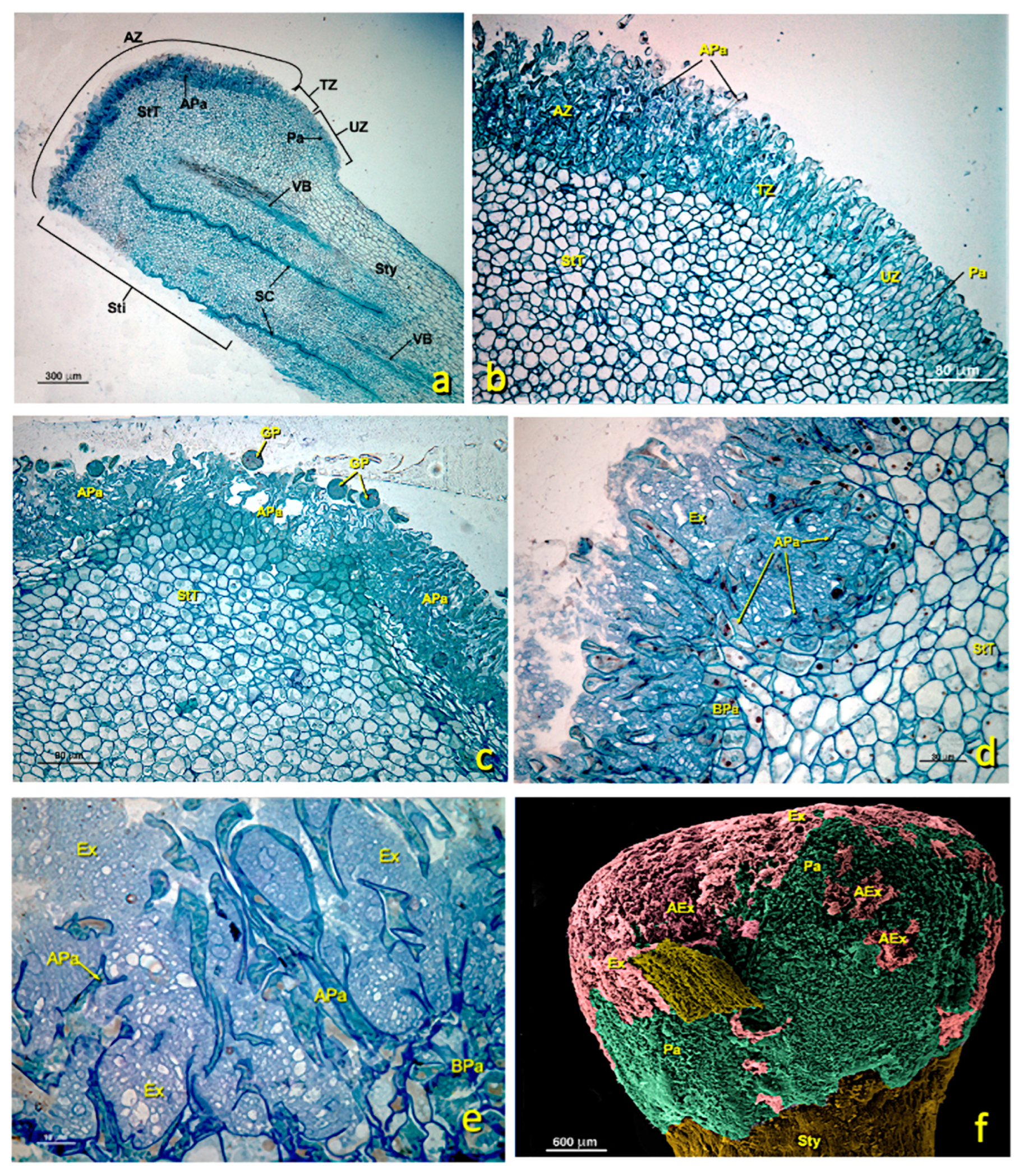 Agronomy 13 01643 g004 Agronomy 13 01643 g004
