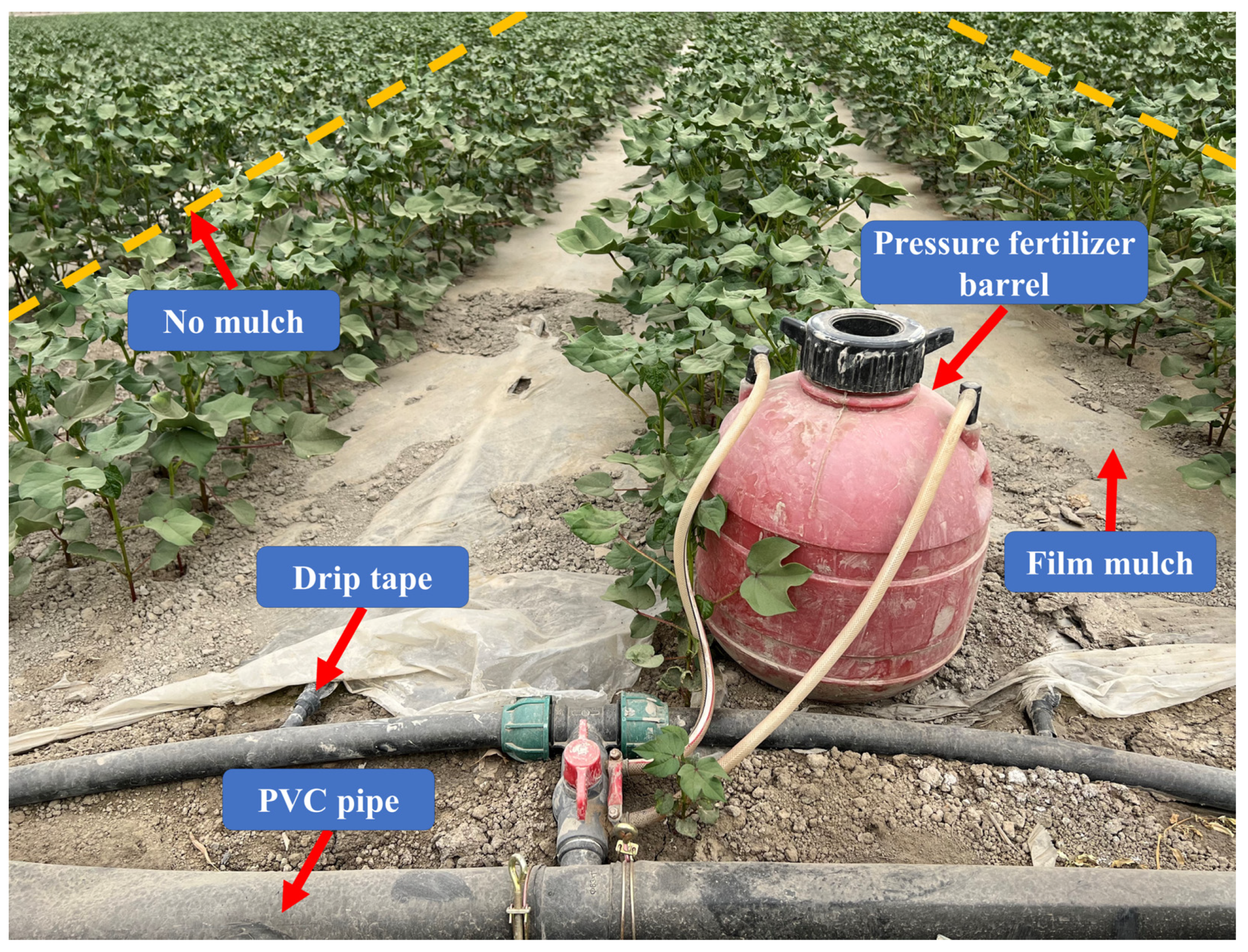 Agronomy 13 01644 g005 Agronomy 13 01644 g005