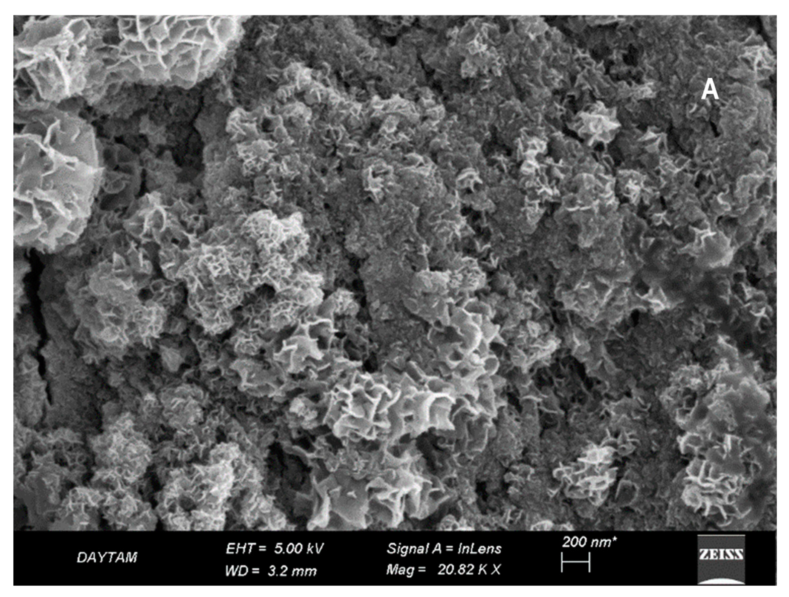 Agronomy 13 01646 g001a Agronomy 13 01646 g001a