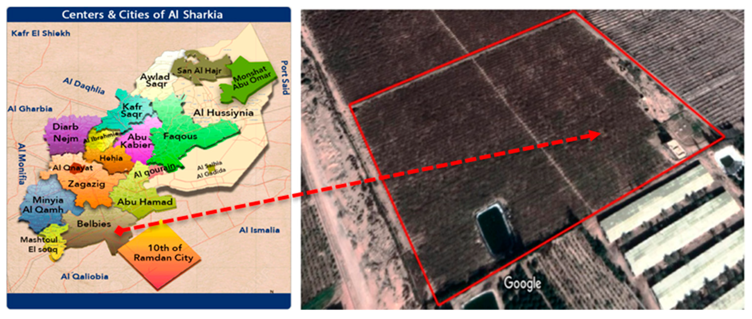 Agronomy 13 01652 g001 Agronomy 13 01652 g001