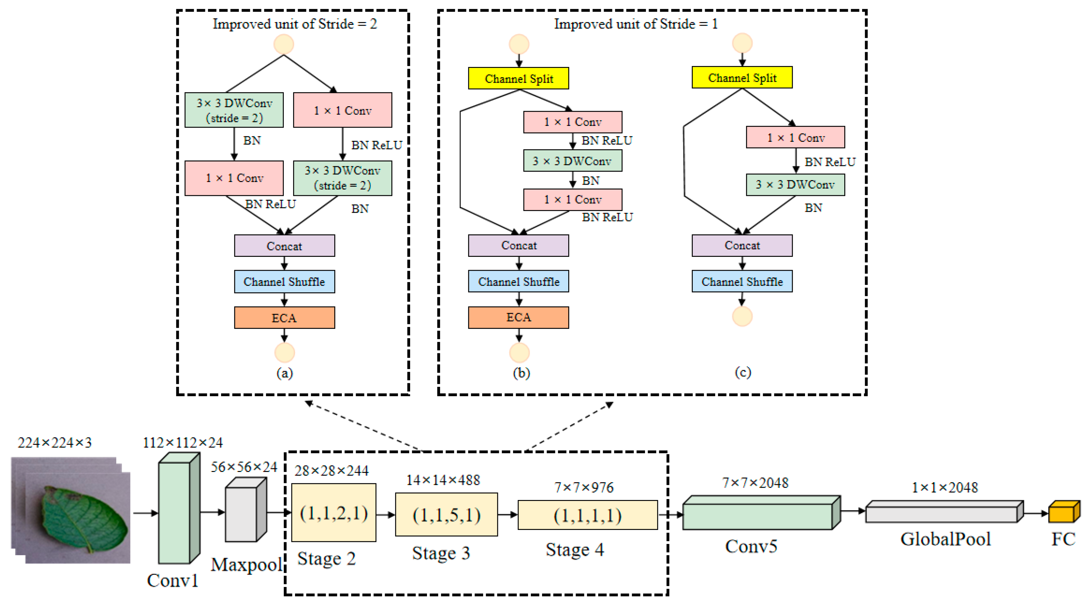 Agronomy 13 01659 g008 Agronomy 13 01659 g008