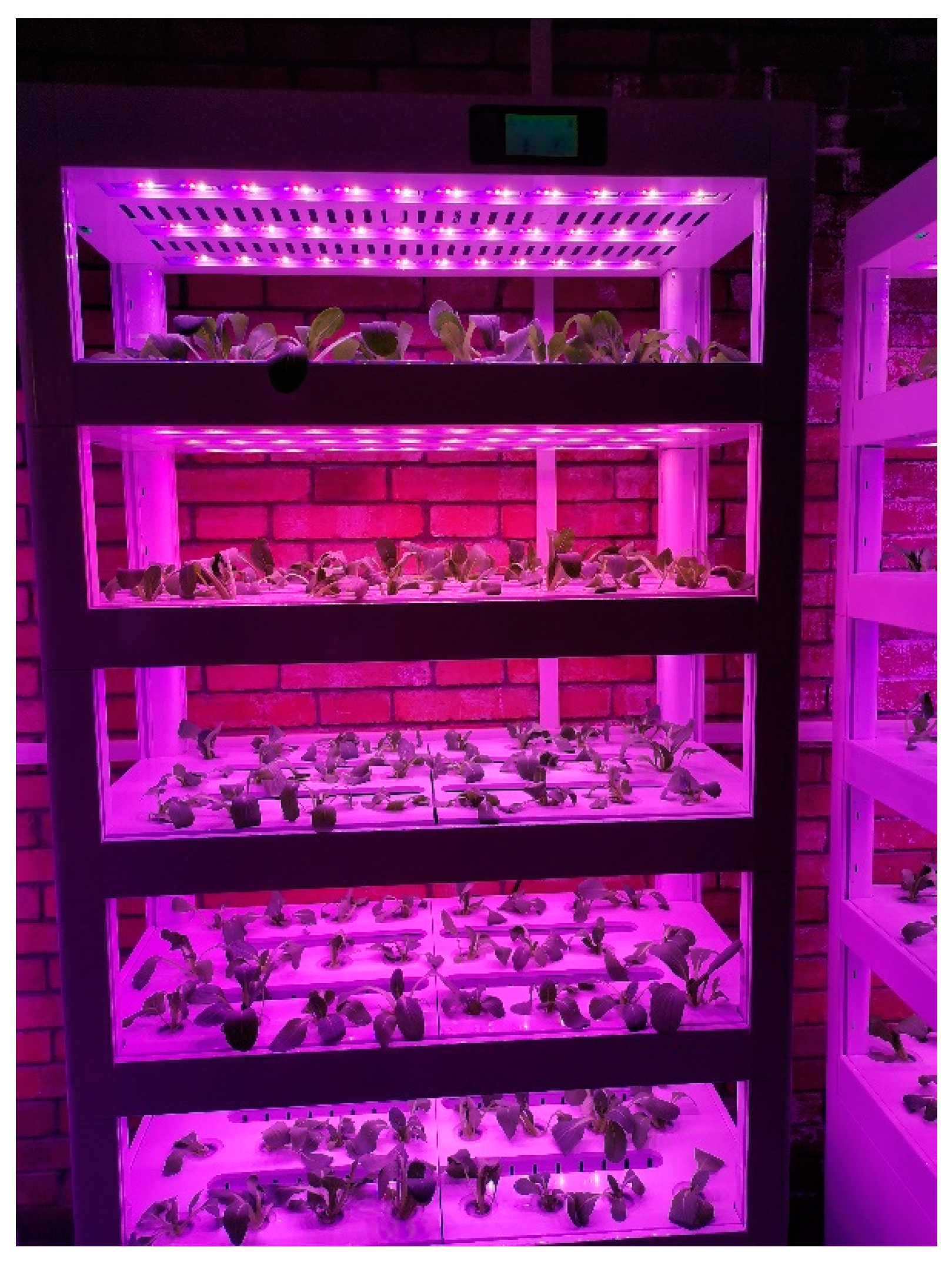 Agronomy 13 01667 g001 Agronomy 13 01667 g001