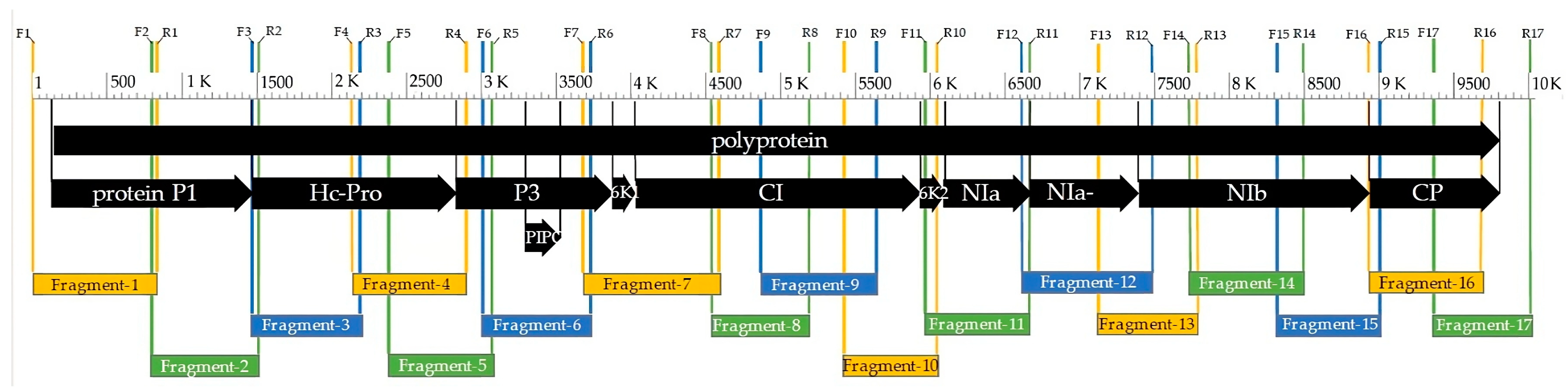 Agronomy 13 01677 g004