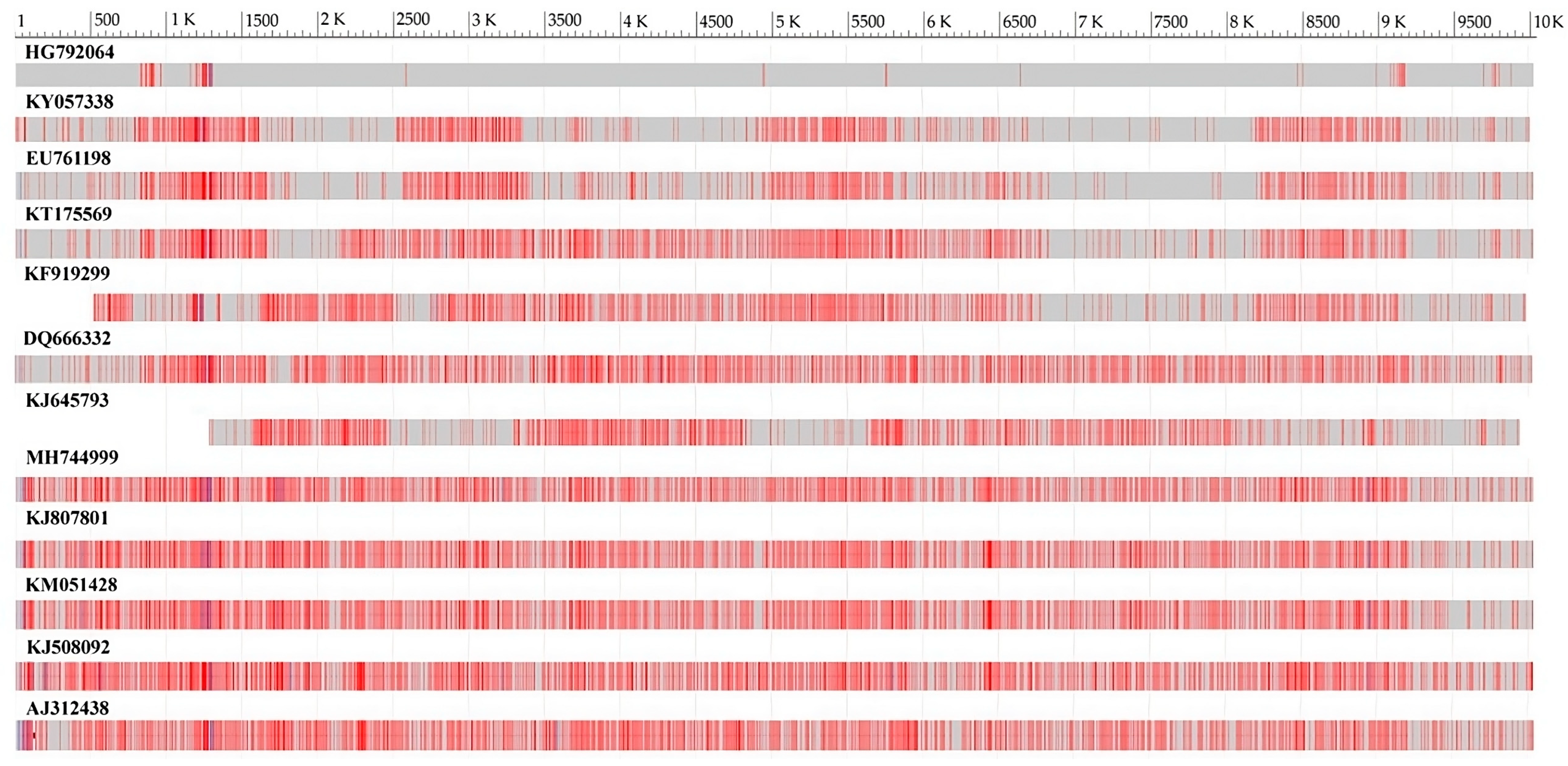 Agronomy 13 01677 g005