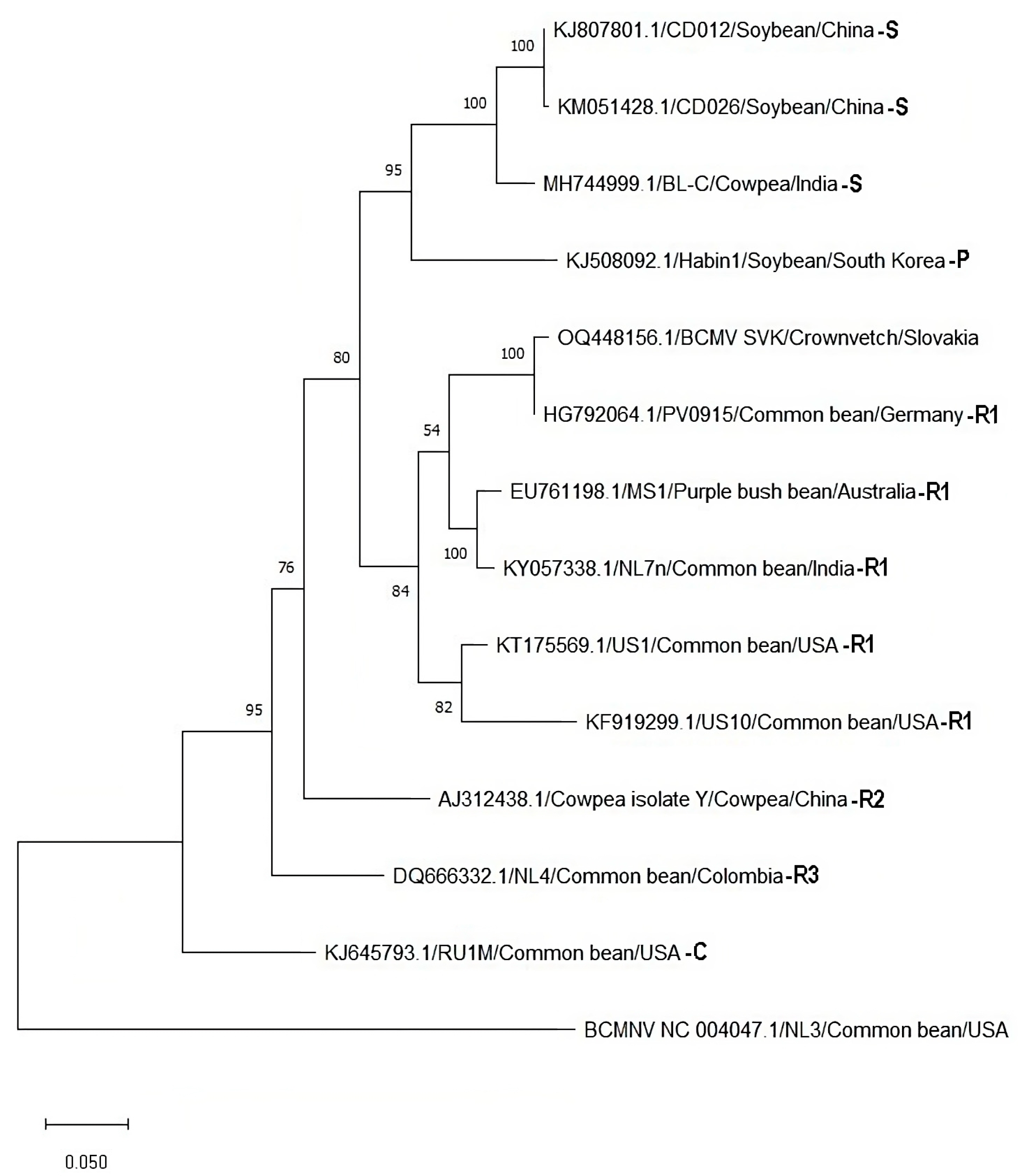 Agronomy 13 01677 g008