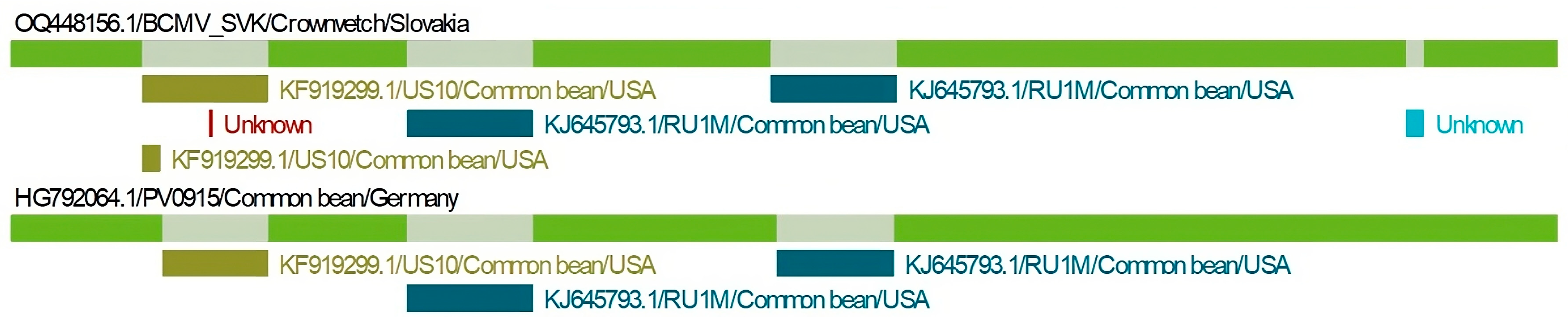 Agronomy 13 01677 g009