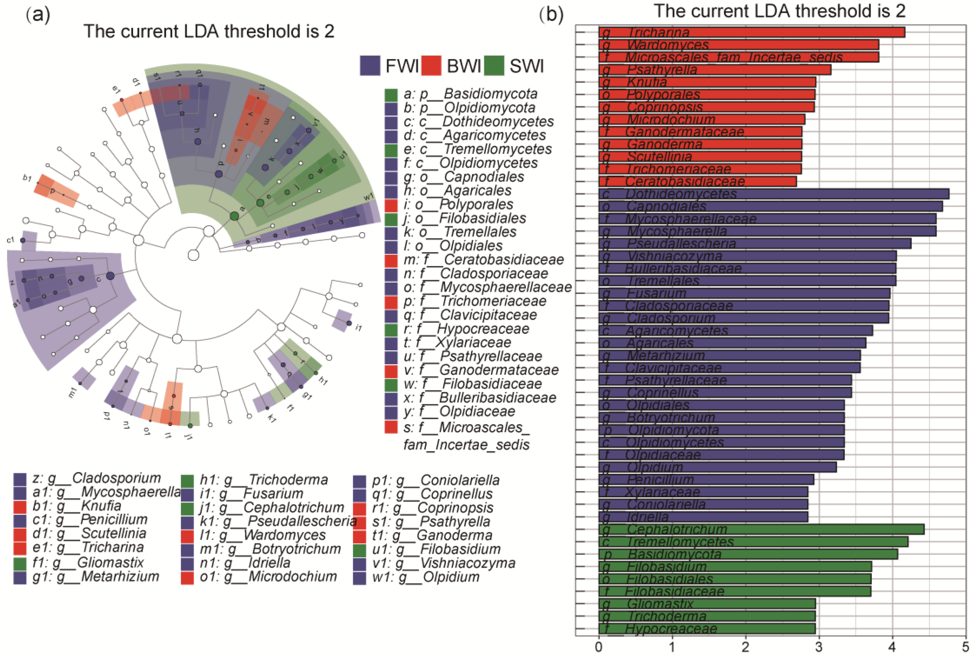 Agronomy 13 01679 g008