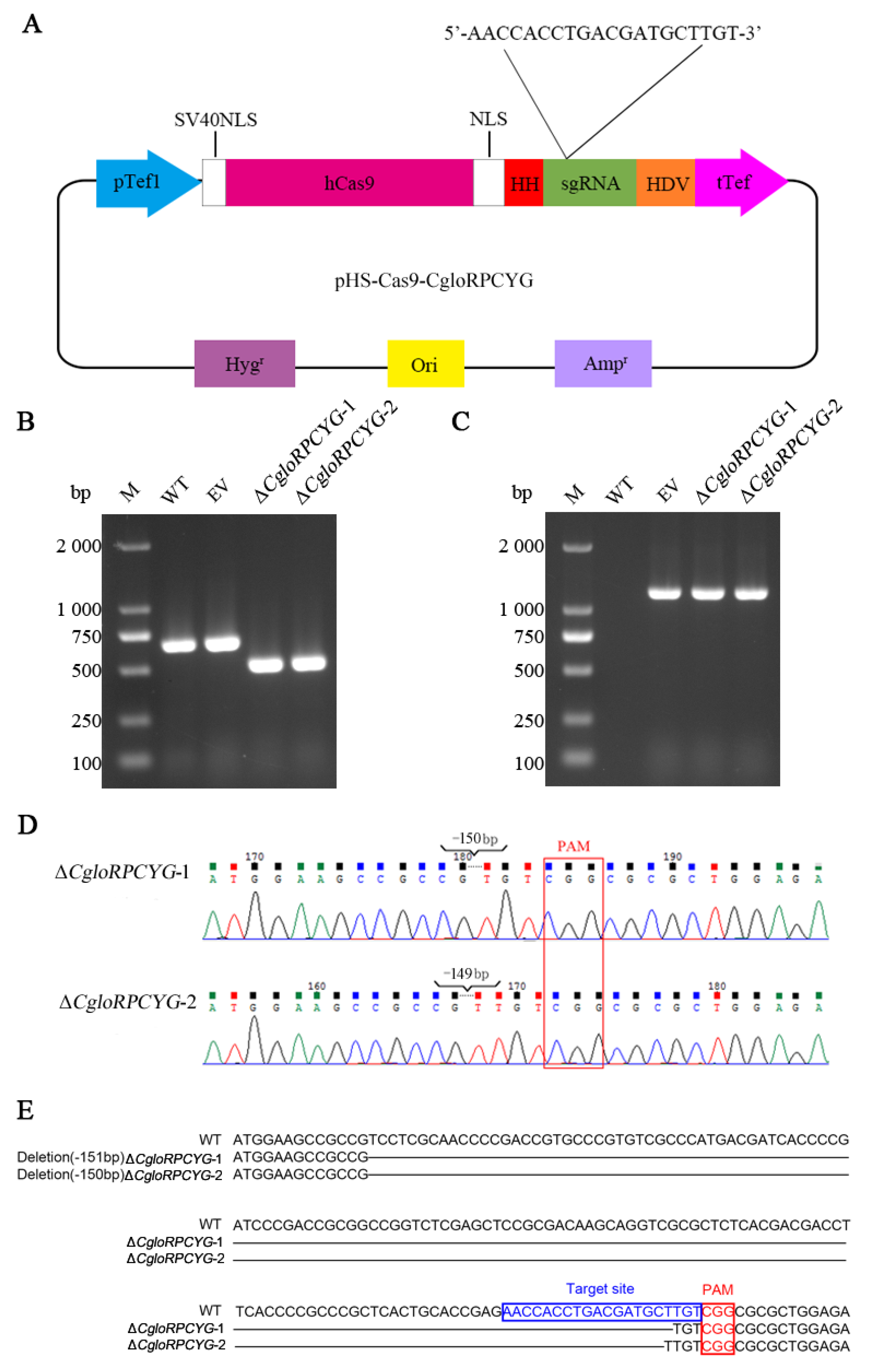 Agronomy 13 01681 g002 Agronomy 13 01681 g002