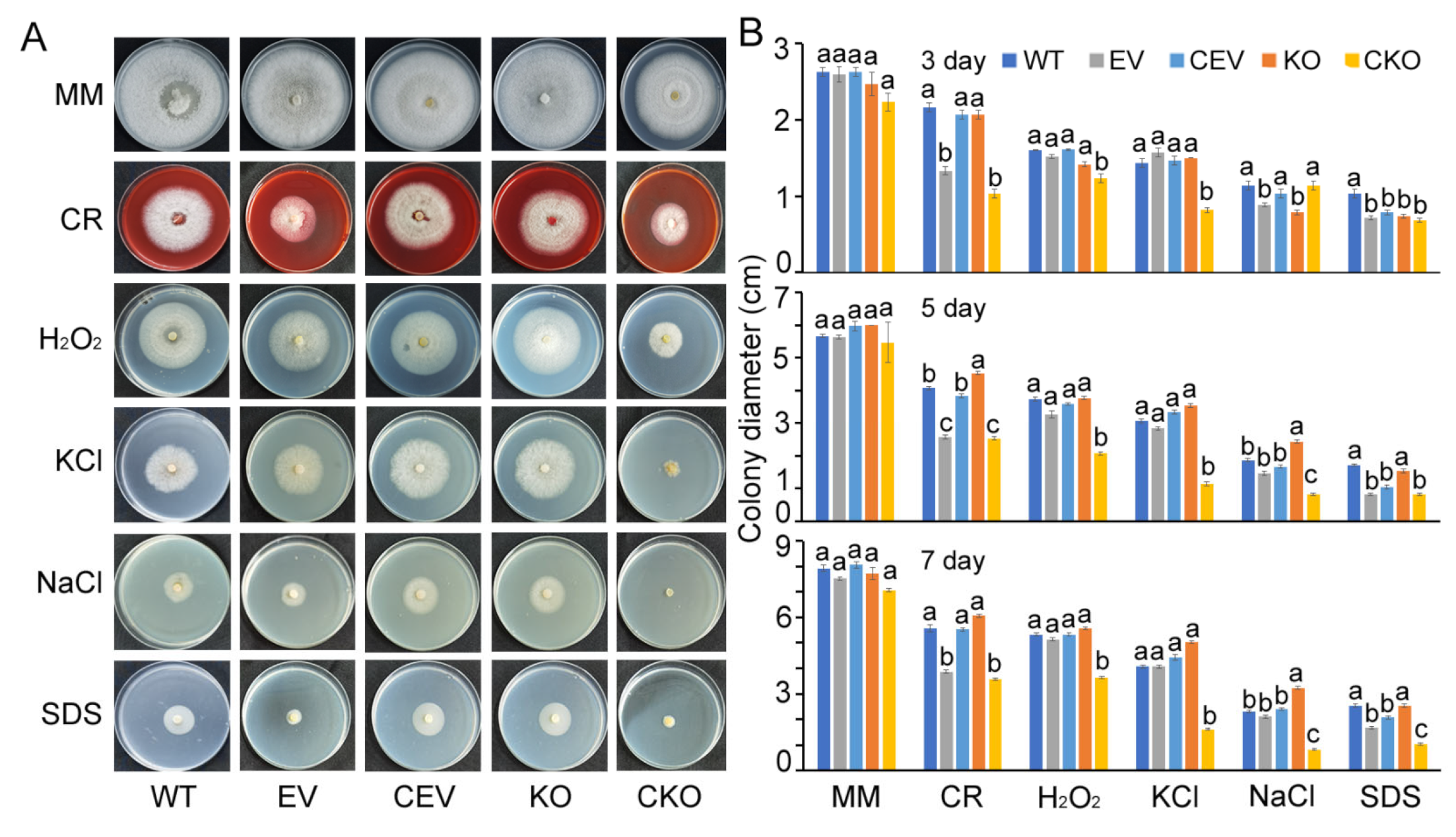 Agronomy 13 01681 g004 Agronomy 13 01681 g004