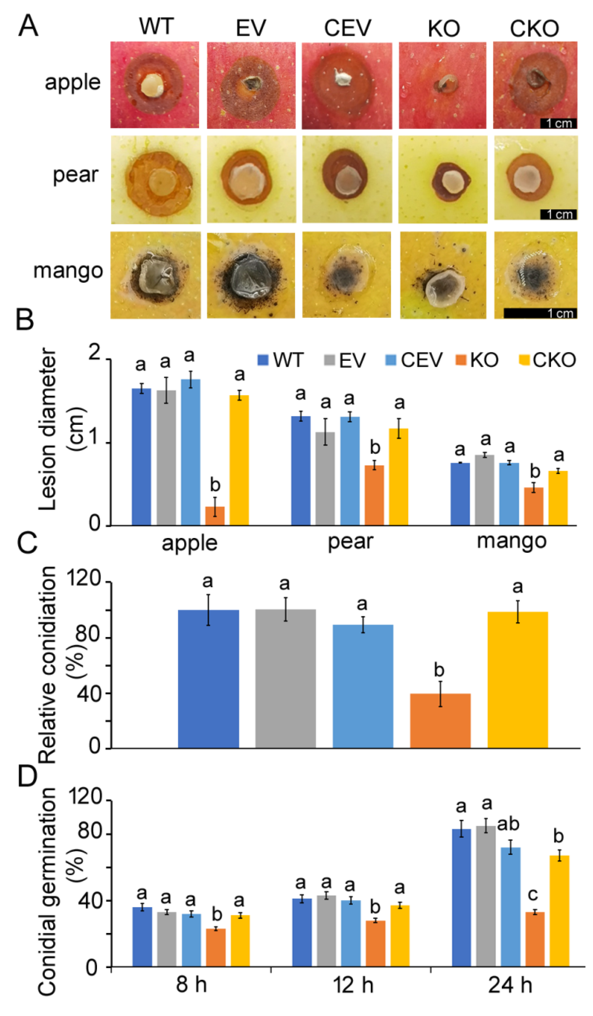 Agronomy 13 01681 g005 Agronomy 13 01681 g005