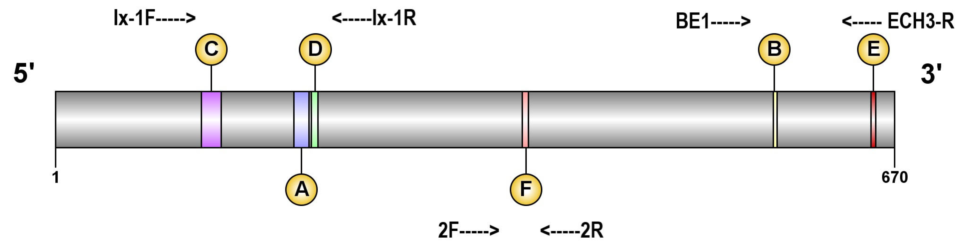 Agronomy 13 01682 g001 Agronomy 13 01682 g001