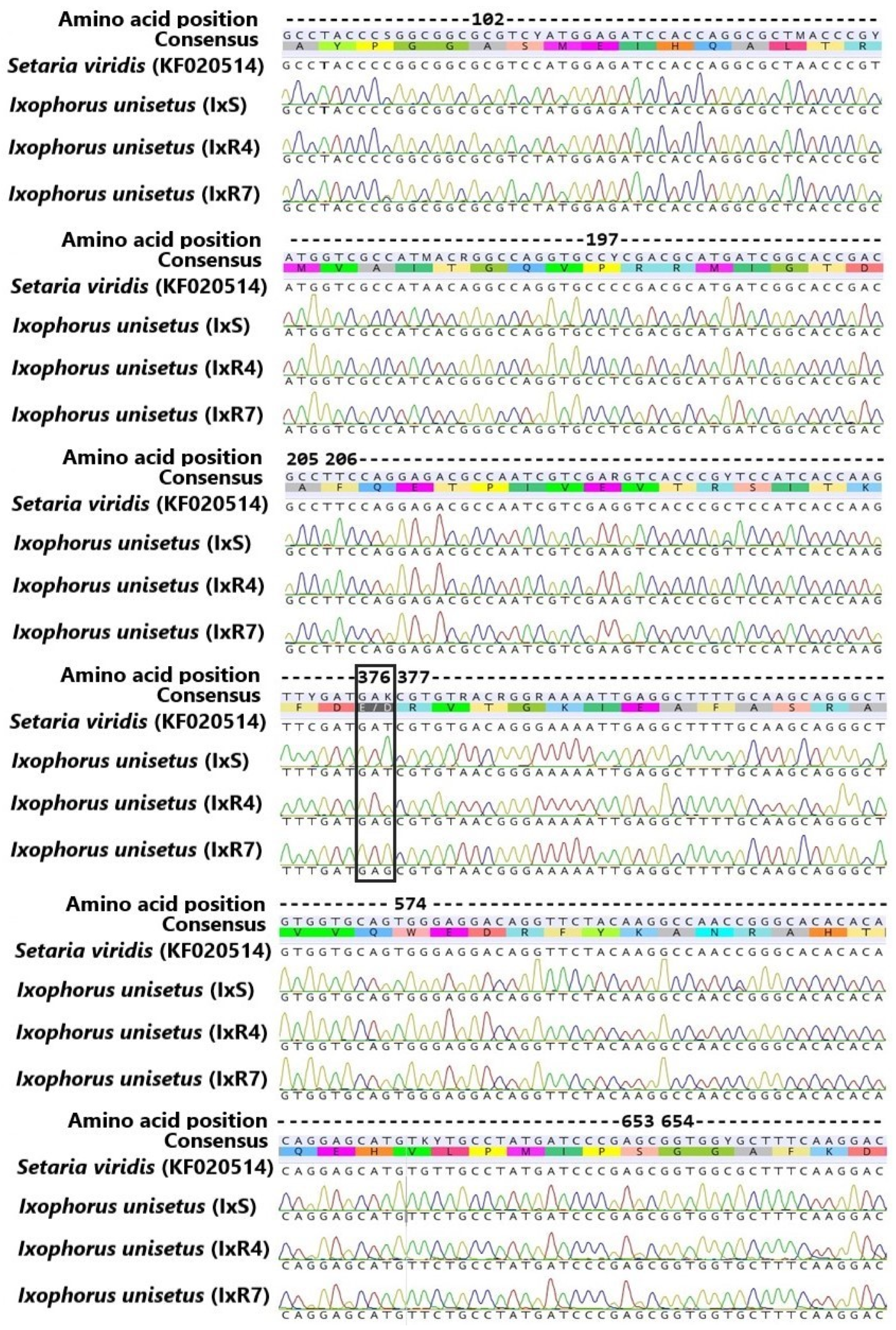 Agronomy 13 01682 g005 Agronomy 13 01682 g005