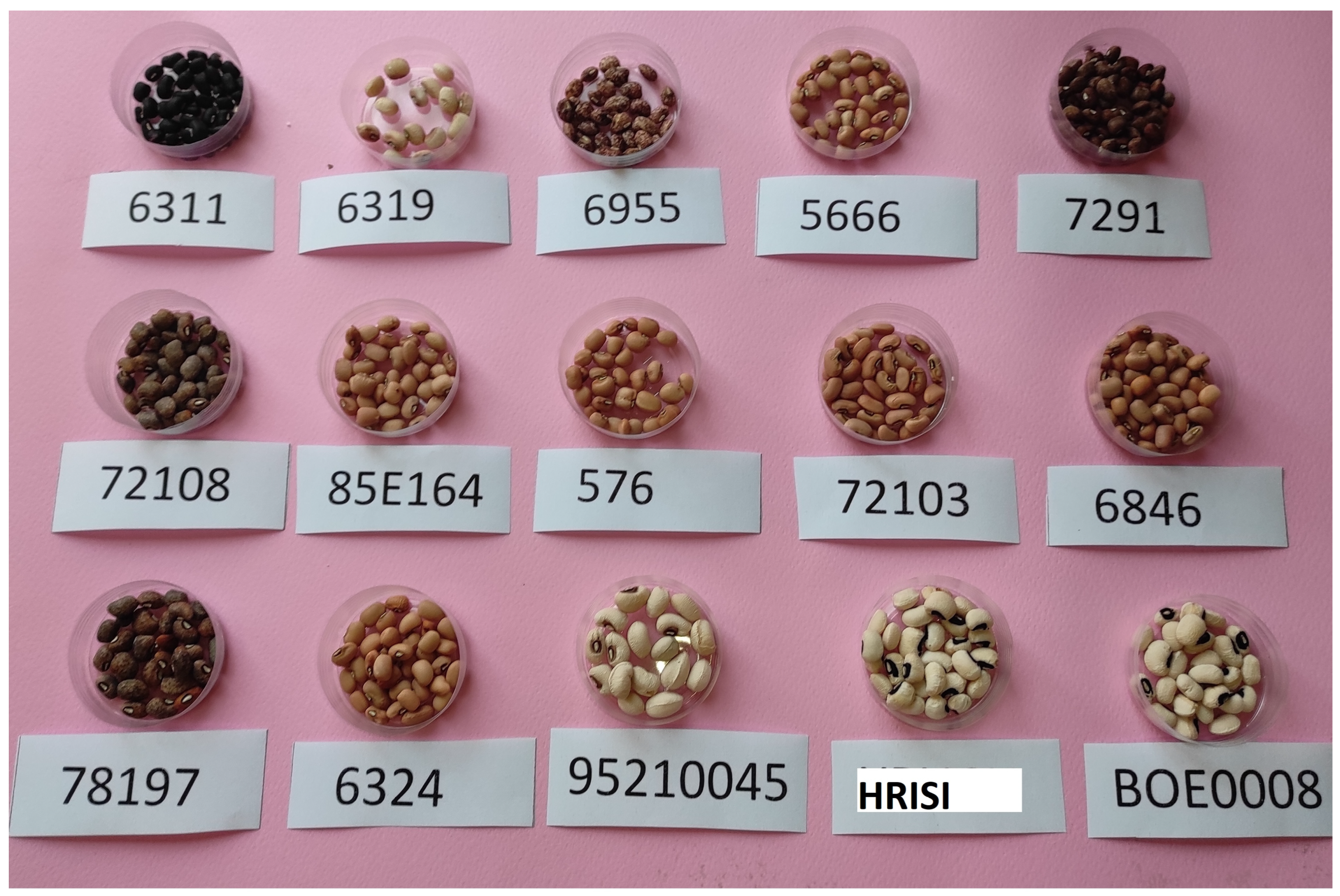 Agronomy 13 01684 g001 Agronomy 13 01684 g001