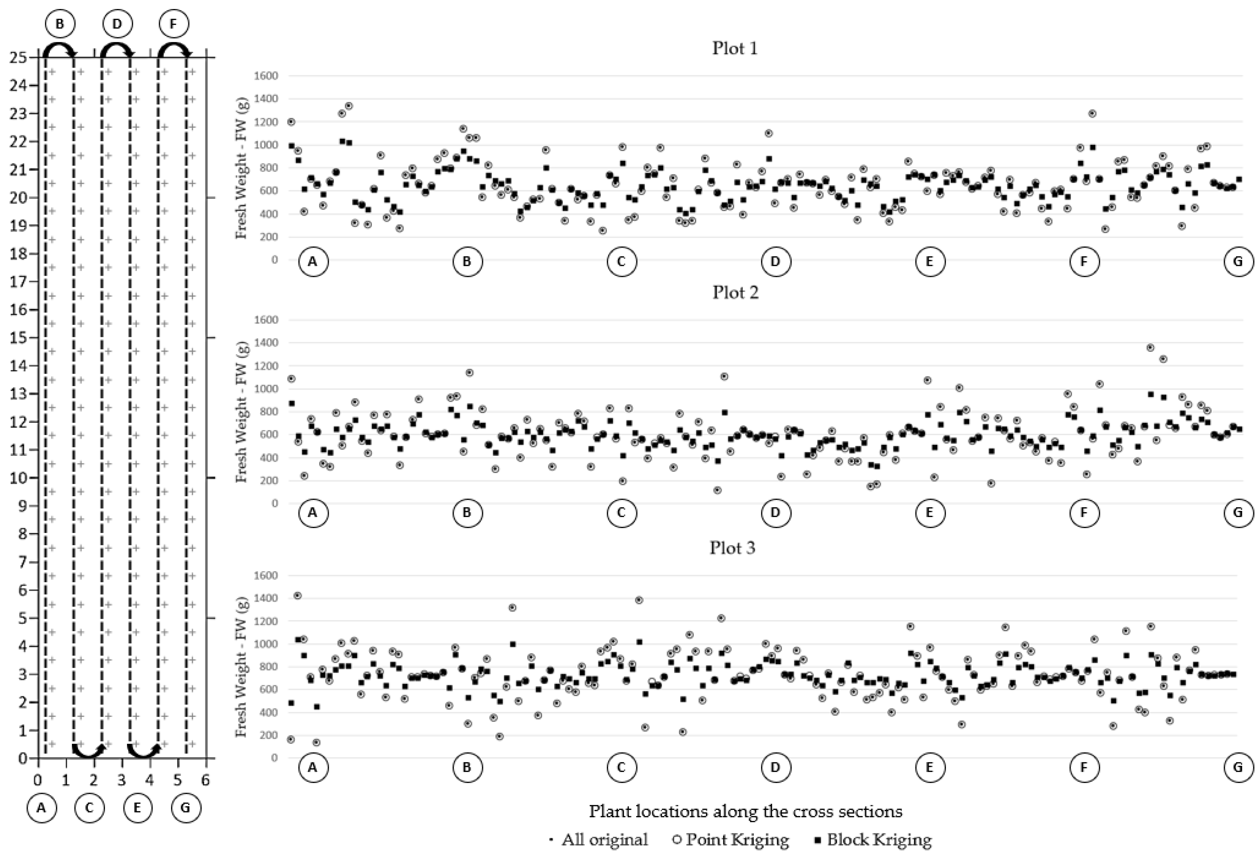 Agronomy 13 01685 g004 Agronomy 13 01685 g004