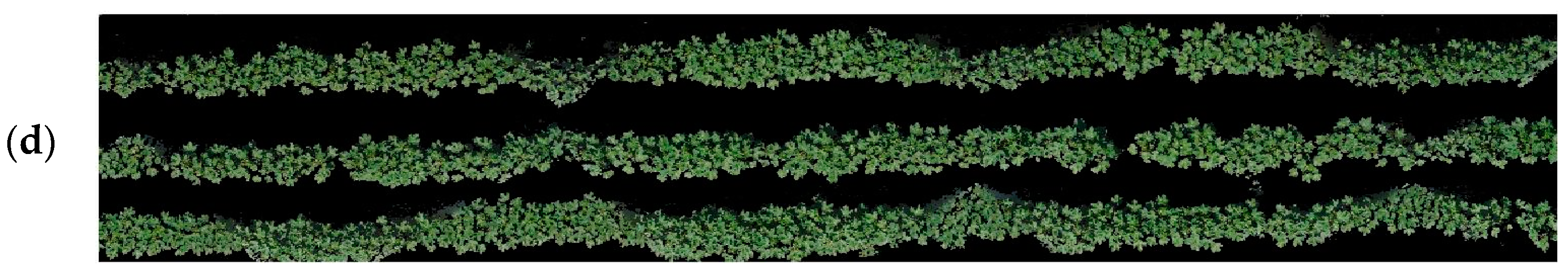 Agronomy 13 01686 g002b