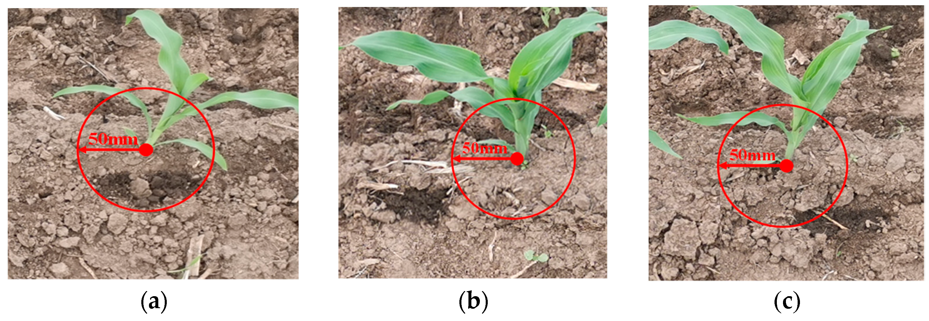 Agronomy 13 01687 g012 Agronomy 13 01687 g012