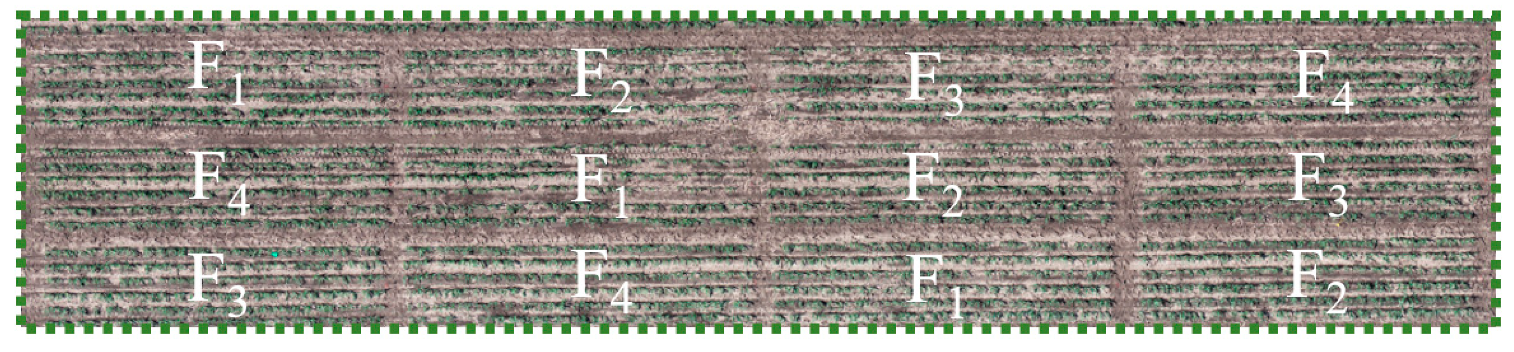 Agronomy 13 01687 g018 Agronomy 13 01687 g018