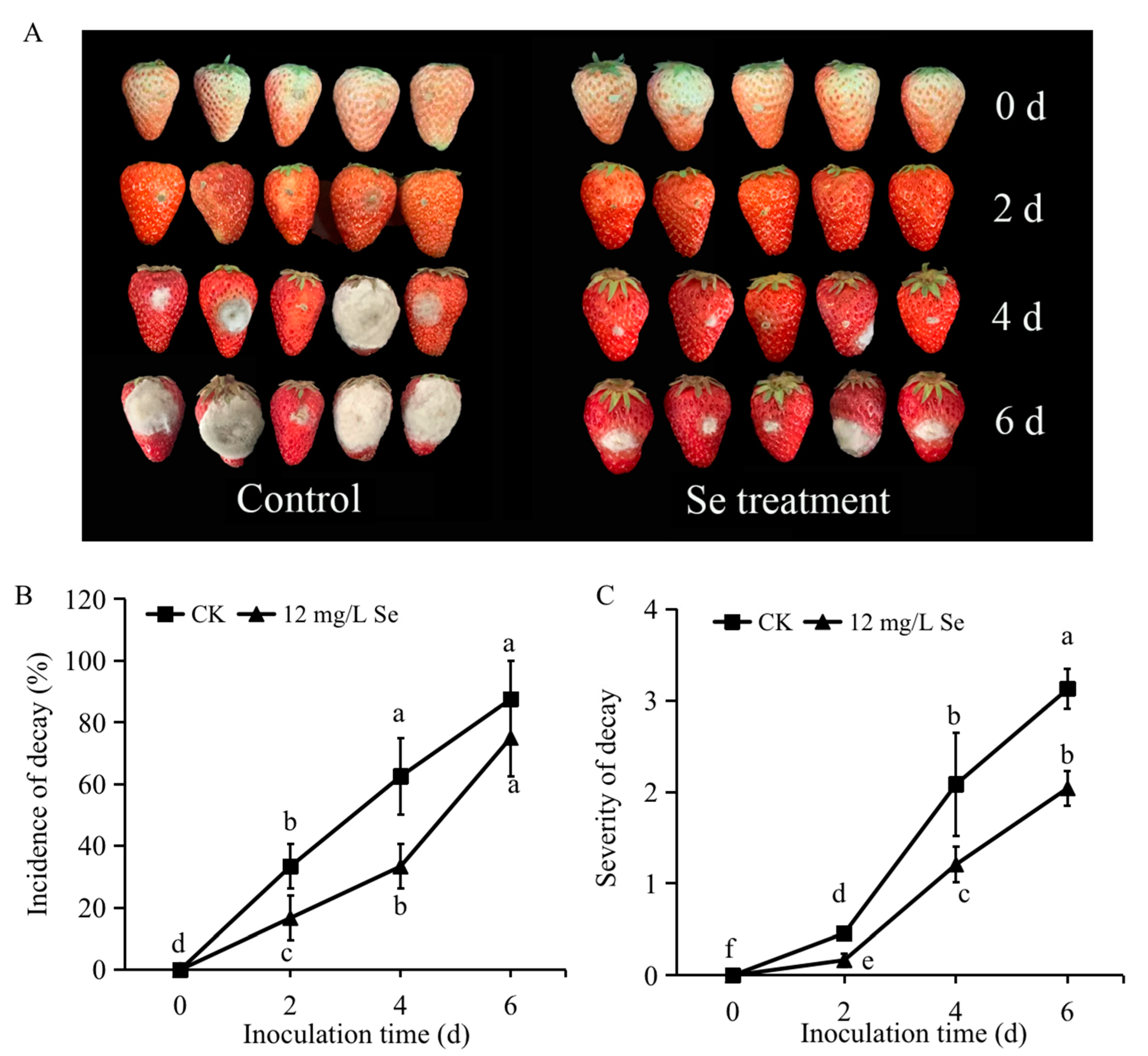 Agronomy 13 01689 g005