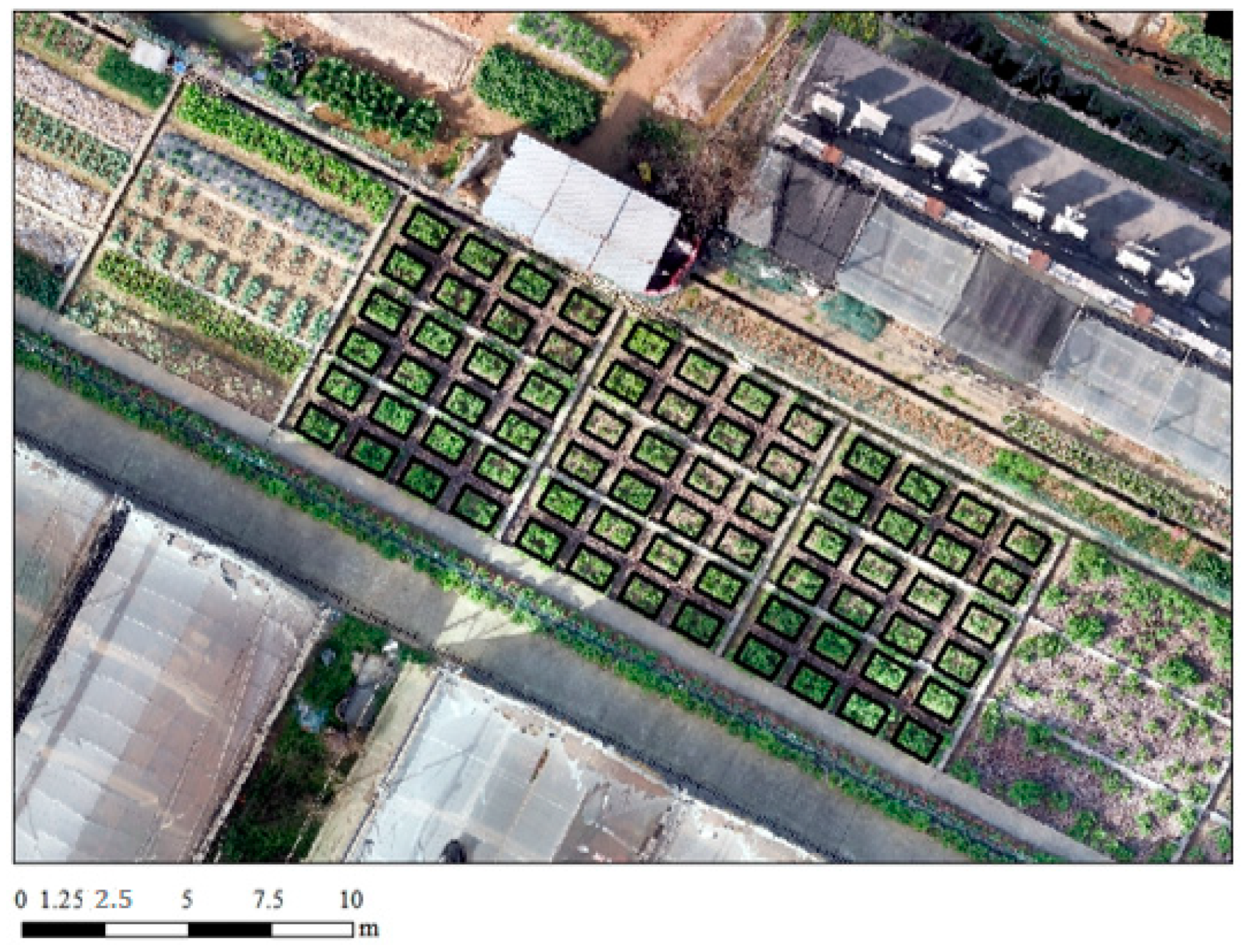 Agronomy 13 01690 g001 Agronomy 13 01690 g001