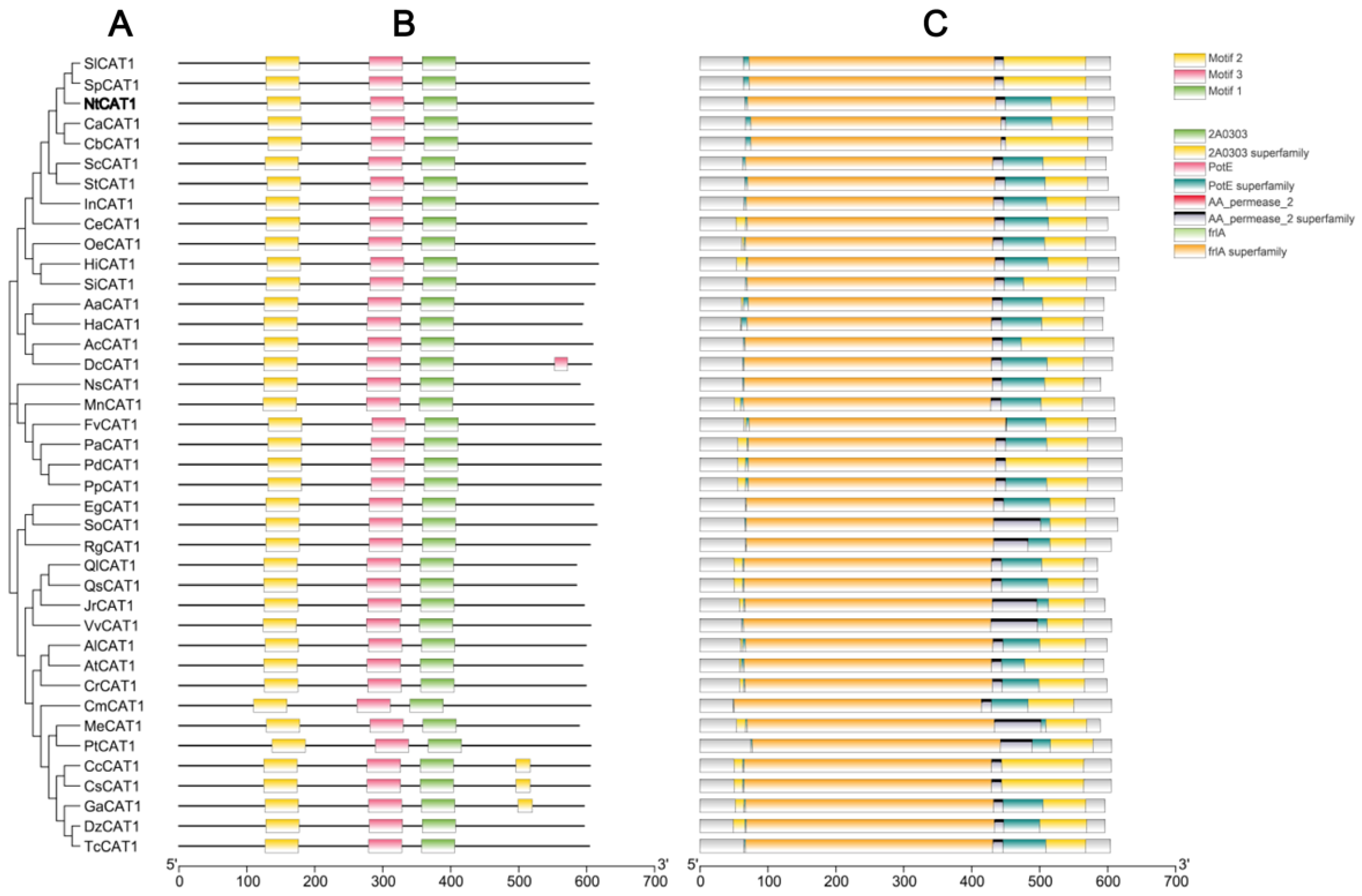 Agronomy 13 01691 g001