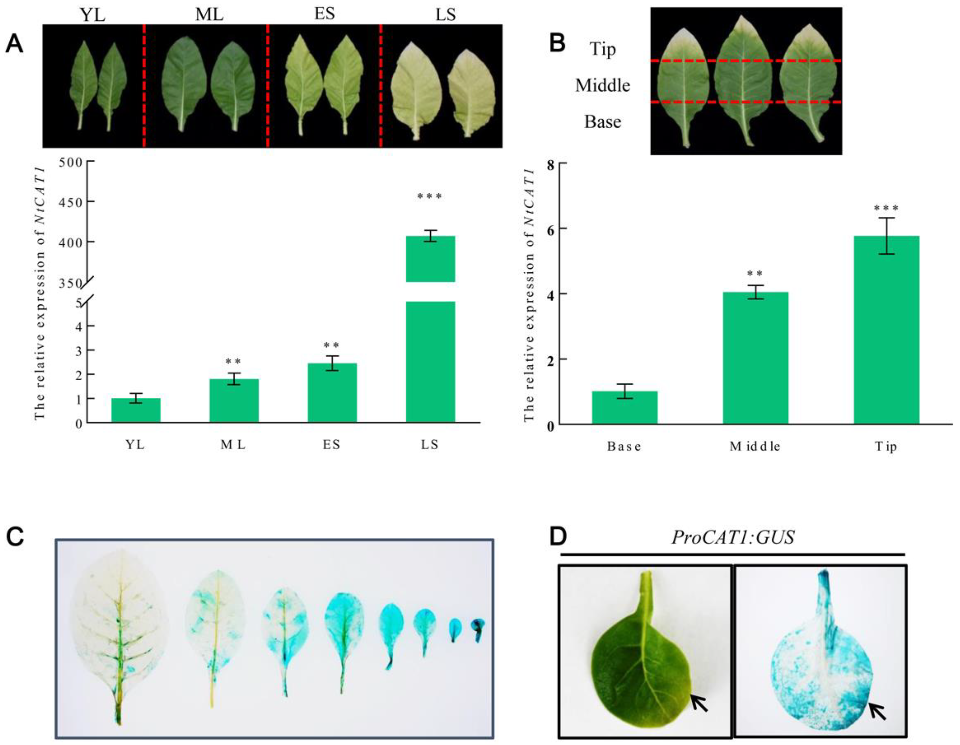 Agronomy 13 01691 g002