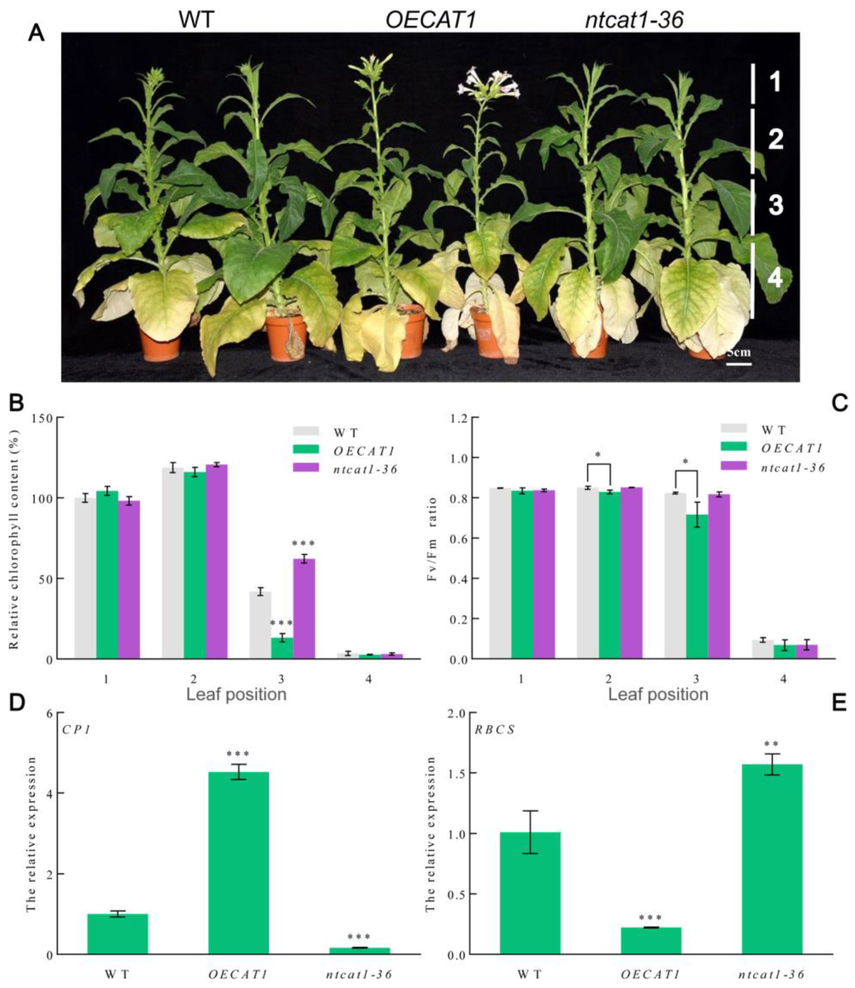 Agronomy 13 01691 g006
