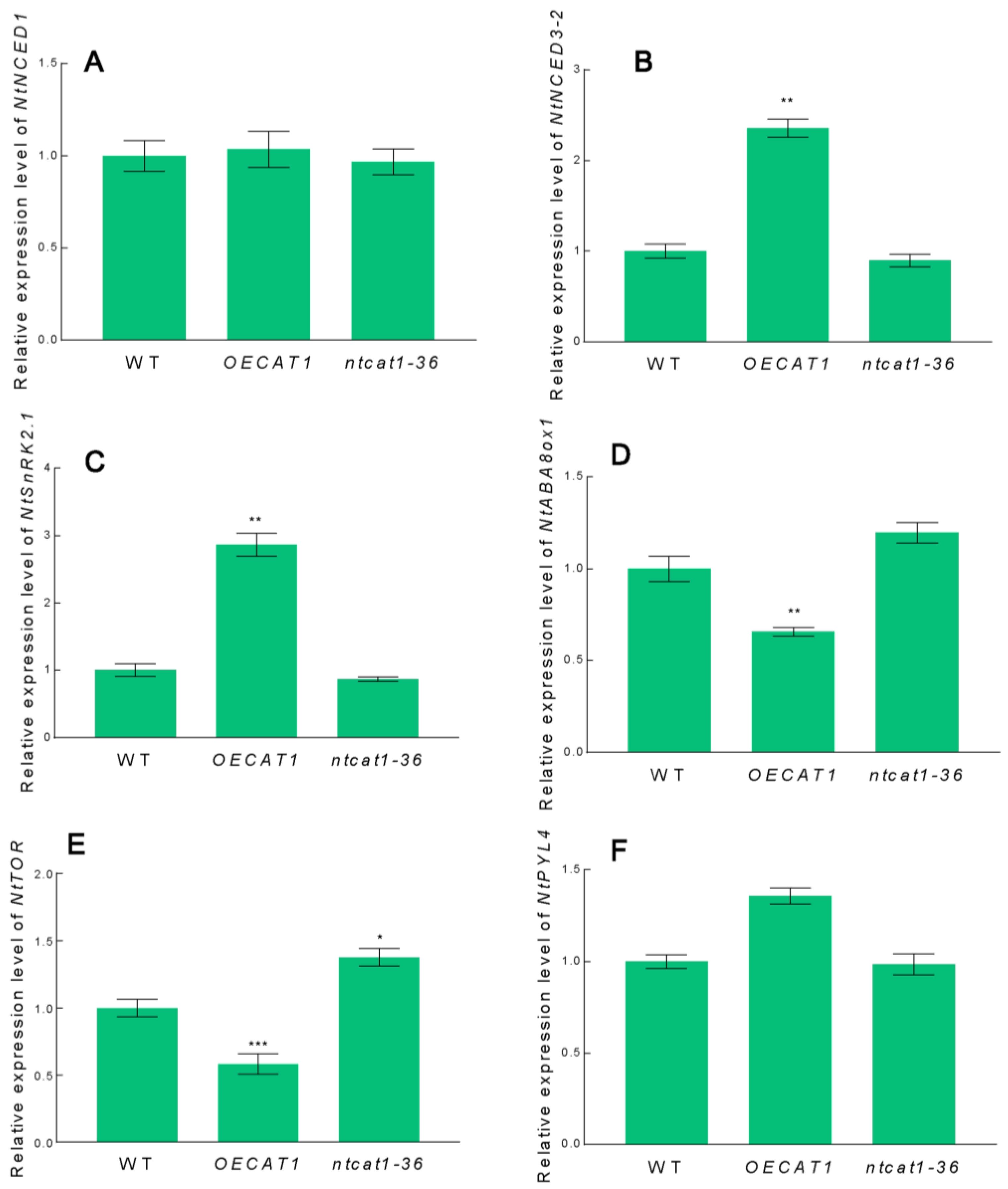 Agronomy 13 01691 g008