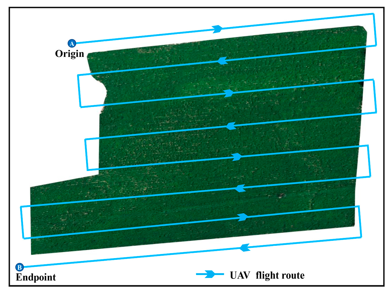 Agronomy 13 01693 g003 Agronomy 13 01693 g003