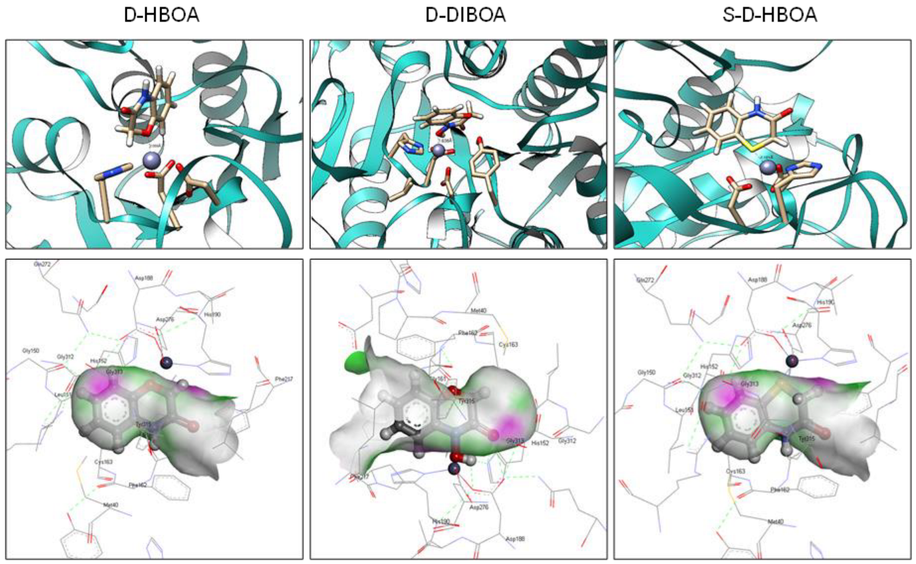 Agronomy 13 01694 g005