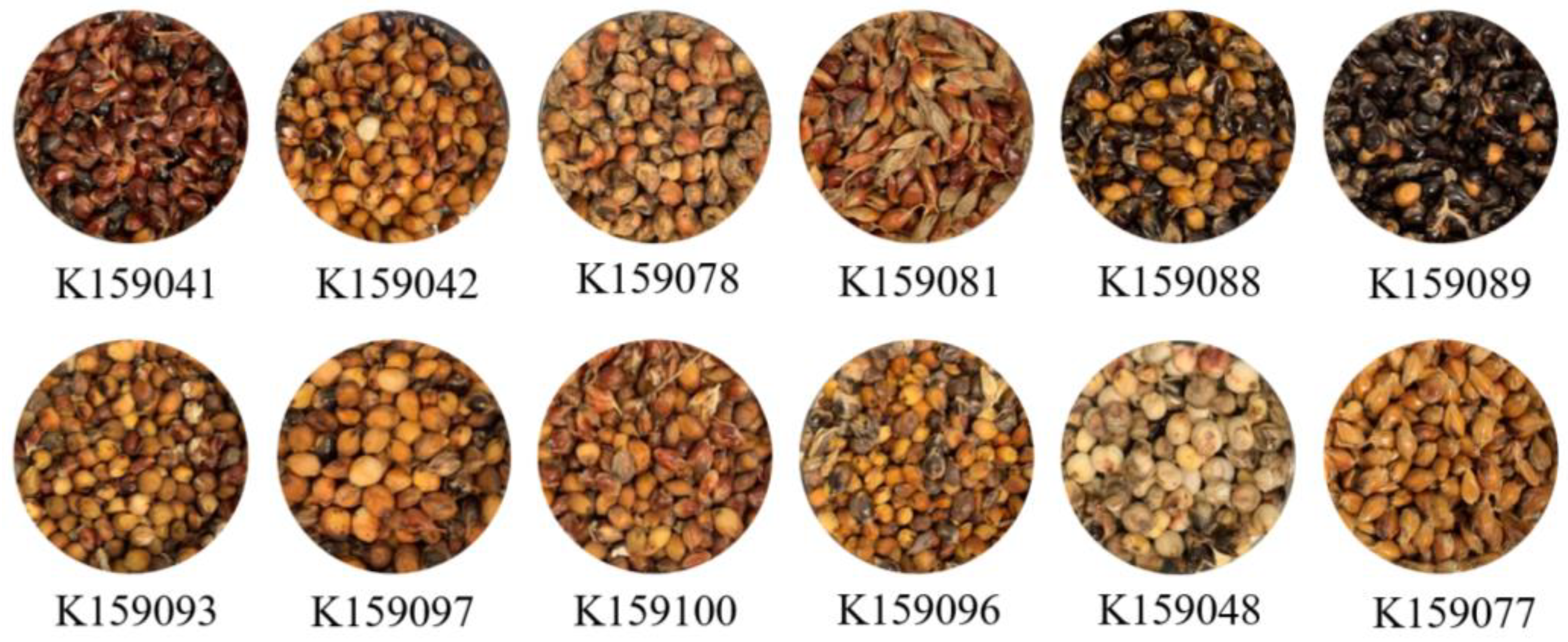 Agronomy 13 01698 g002