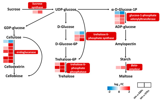 Transcriptome Revealed the Effect of Shading on the Transcriptome Revealed the Effect of Shading on the