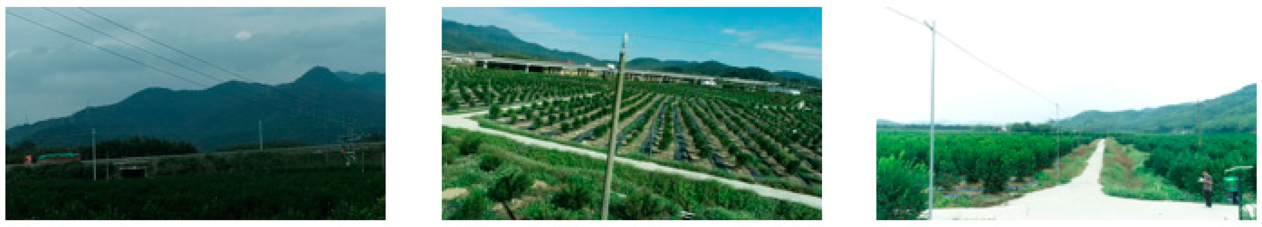 Agronomy 13 01705 g006