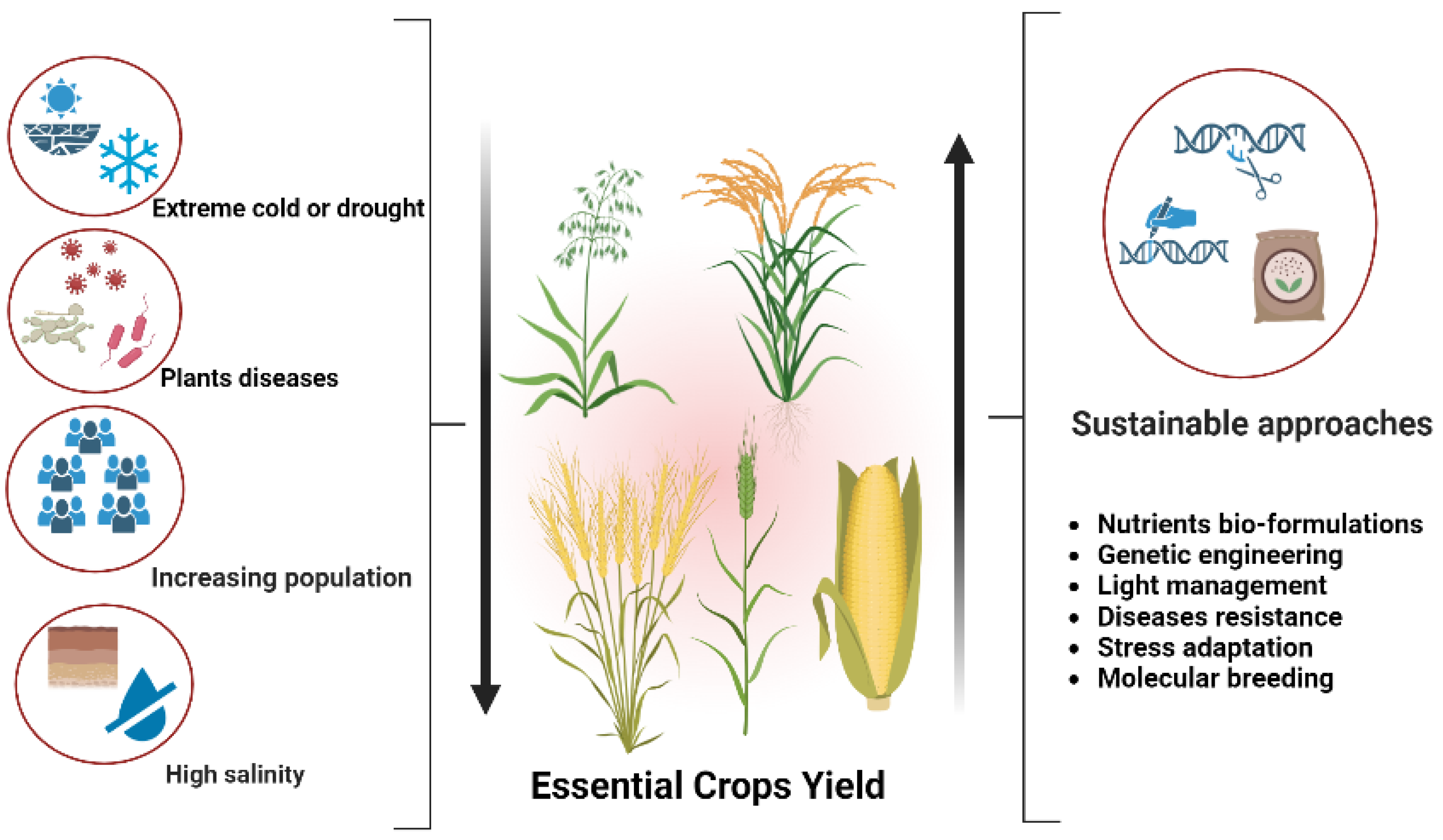 https://www.mdpi.com/agronomy/agronomy-13-01709/article_deploy/html/images/agronomy-13-01709-g001.png
