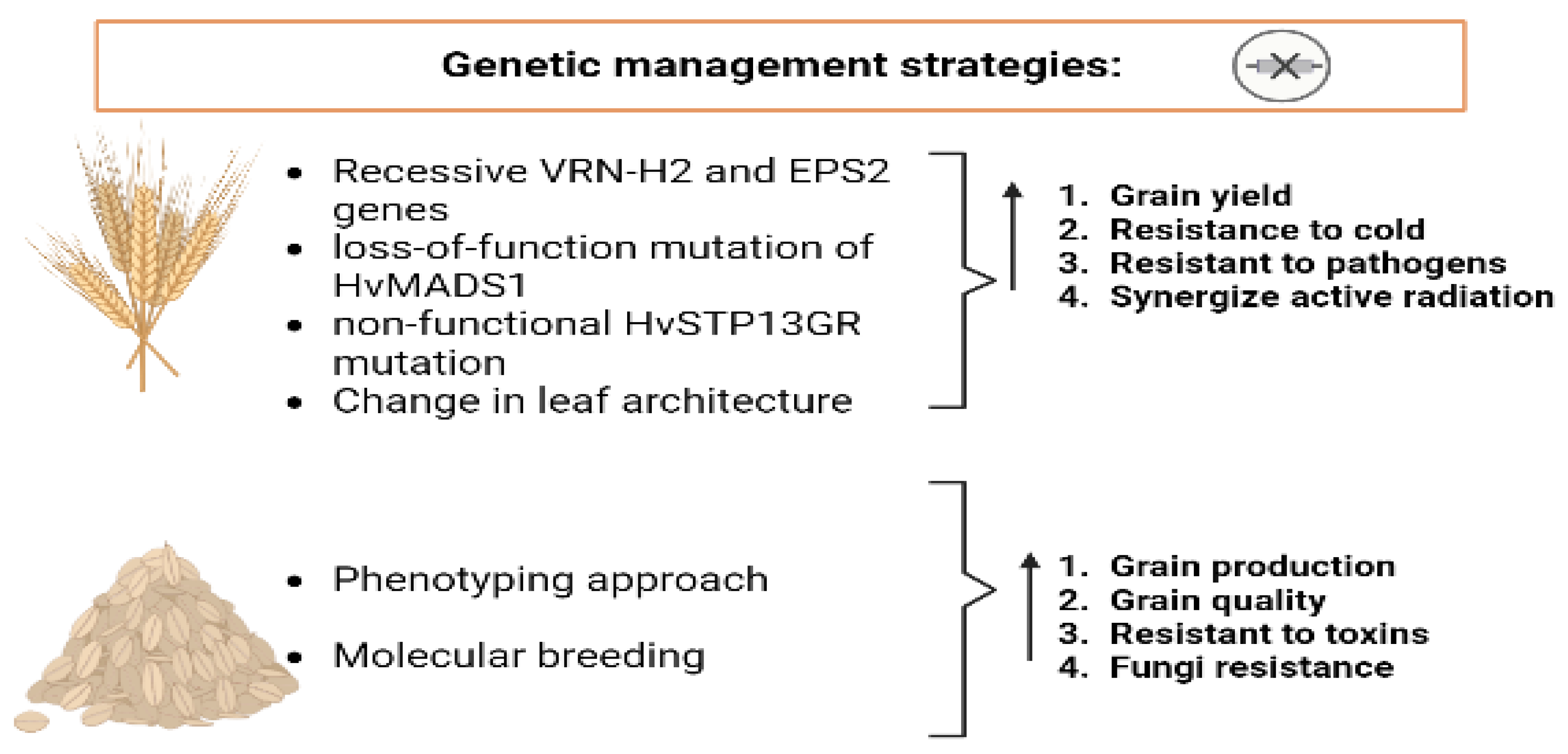 Agronomy 13 01709 g005 Agronomy 13 01709 g005