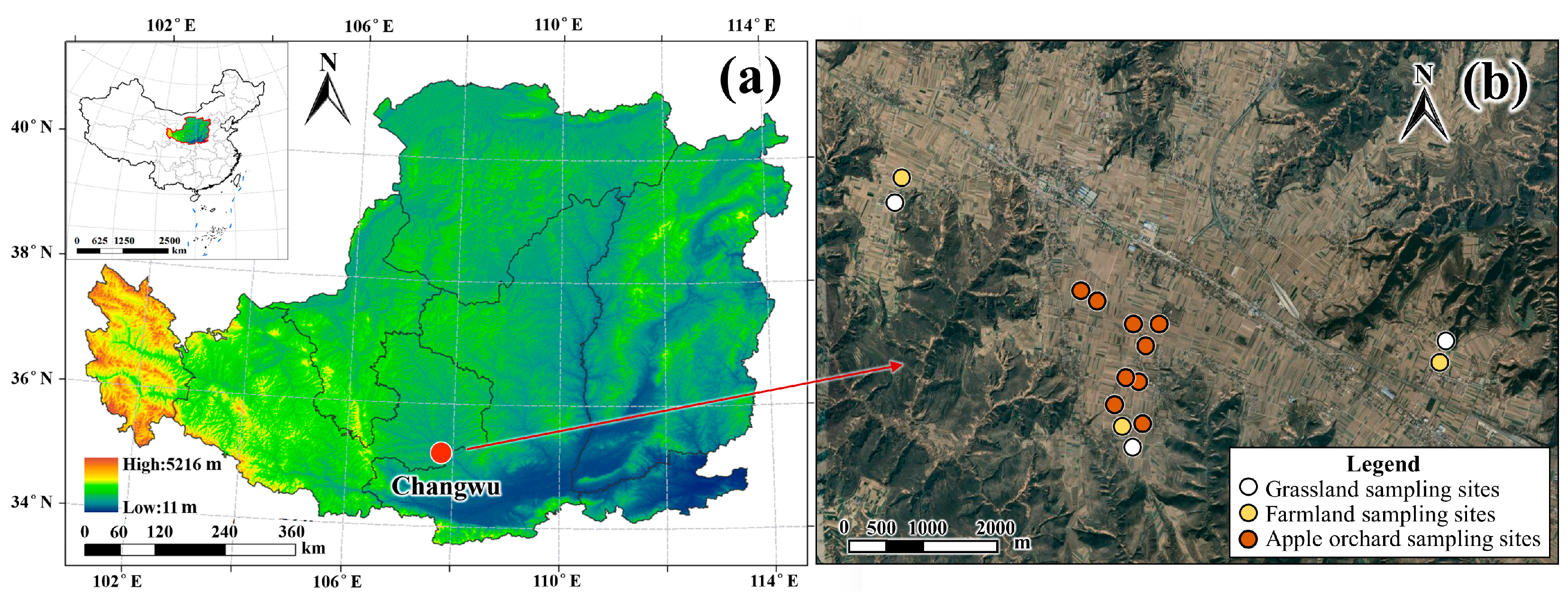 Agronomy 13 01711 g001