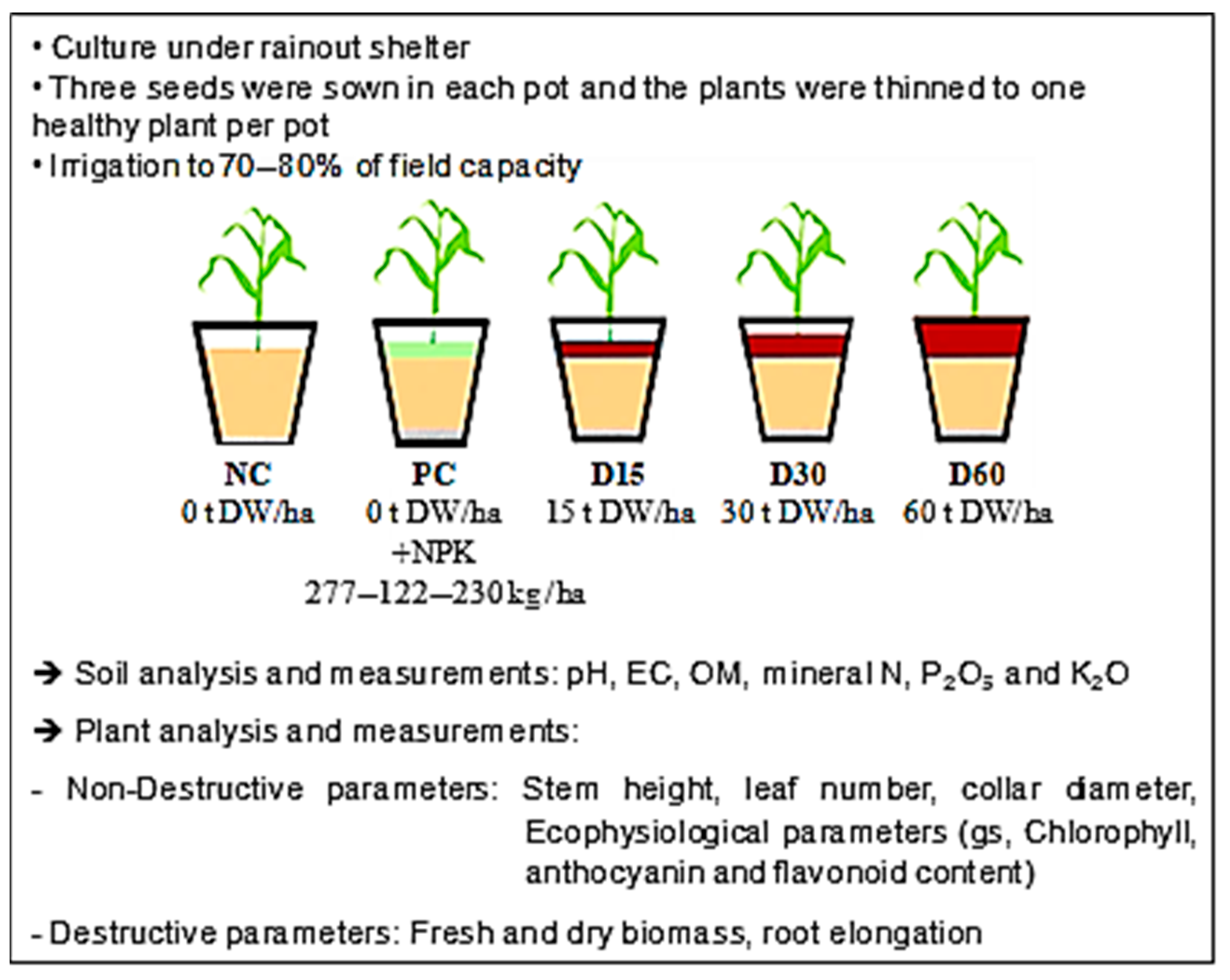 Agronomy 13 01715 g001 Agronomy 13 01715 g001