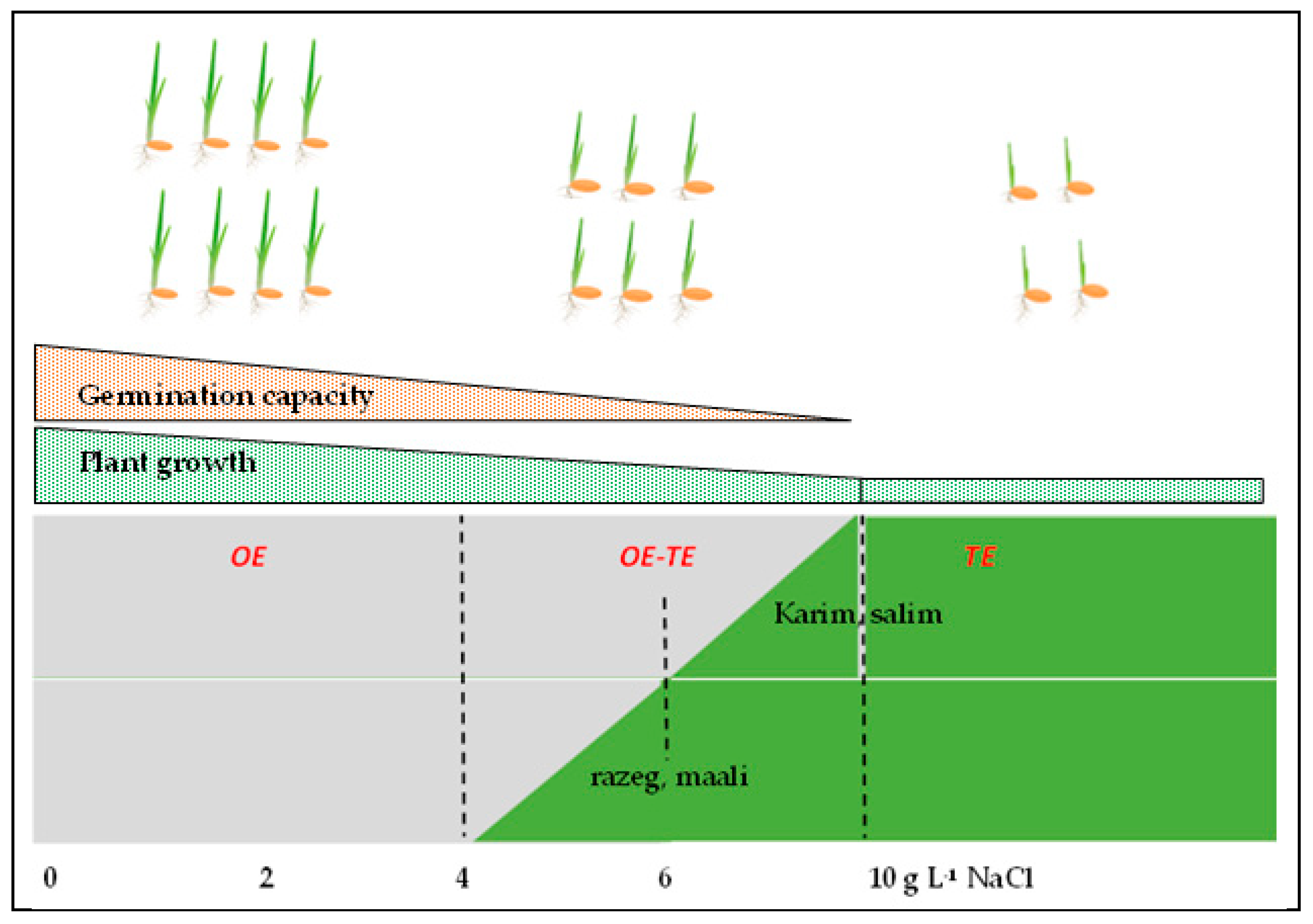 Agronomy 13 01718 g007 Agronomy 13 01718 g007