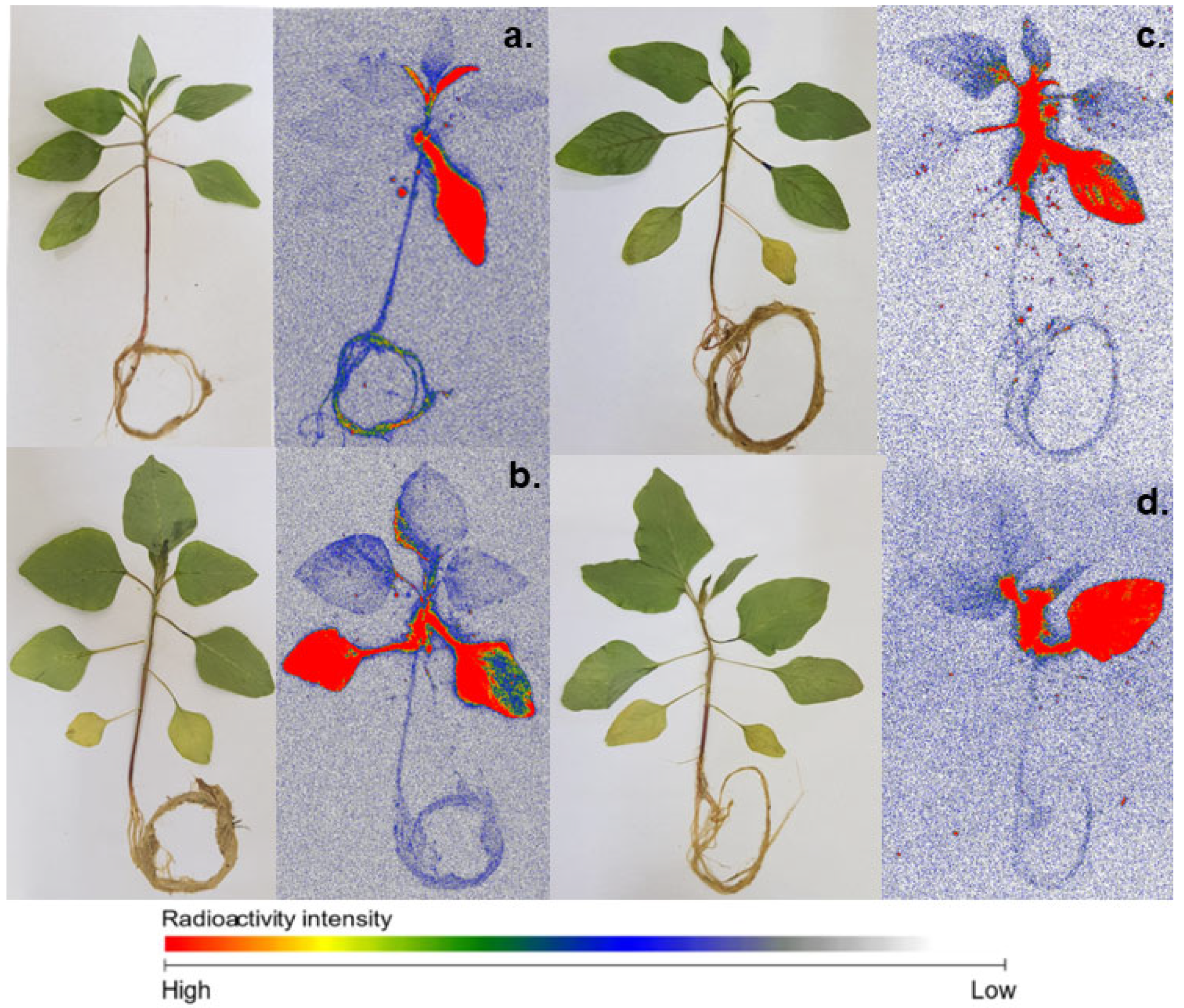 Agronomy 13 01720 g003 Agronomy 13 01720 g003