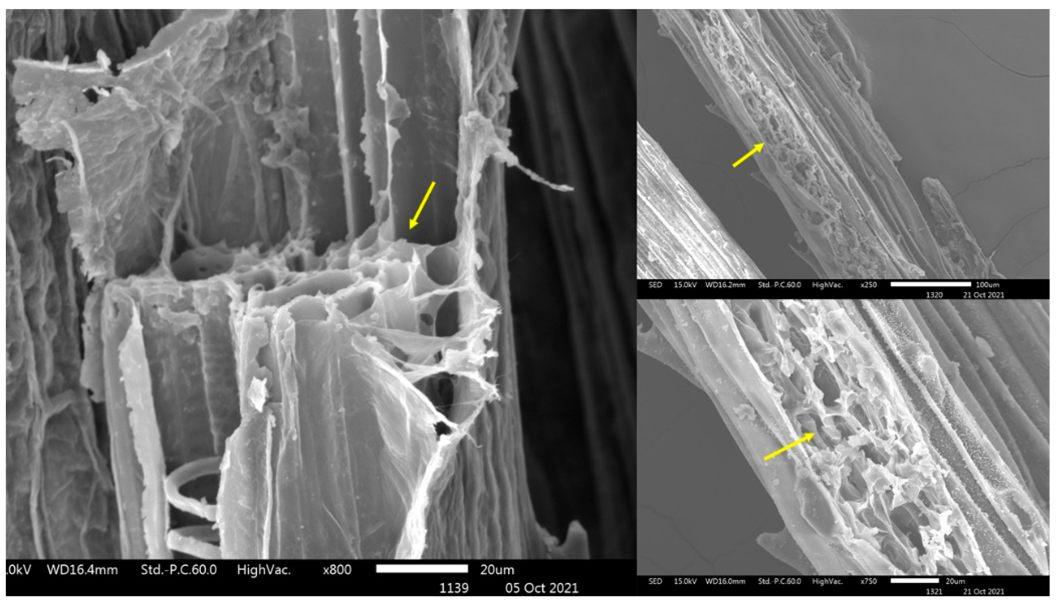 Agronomy 13 01725 g003 Agronomy 13 01725 g003