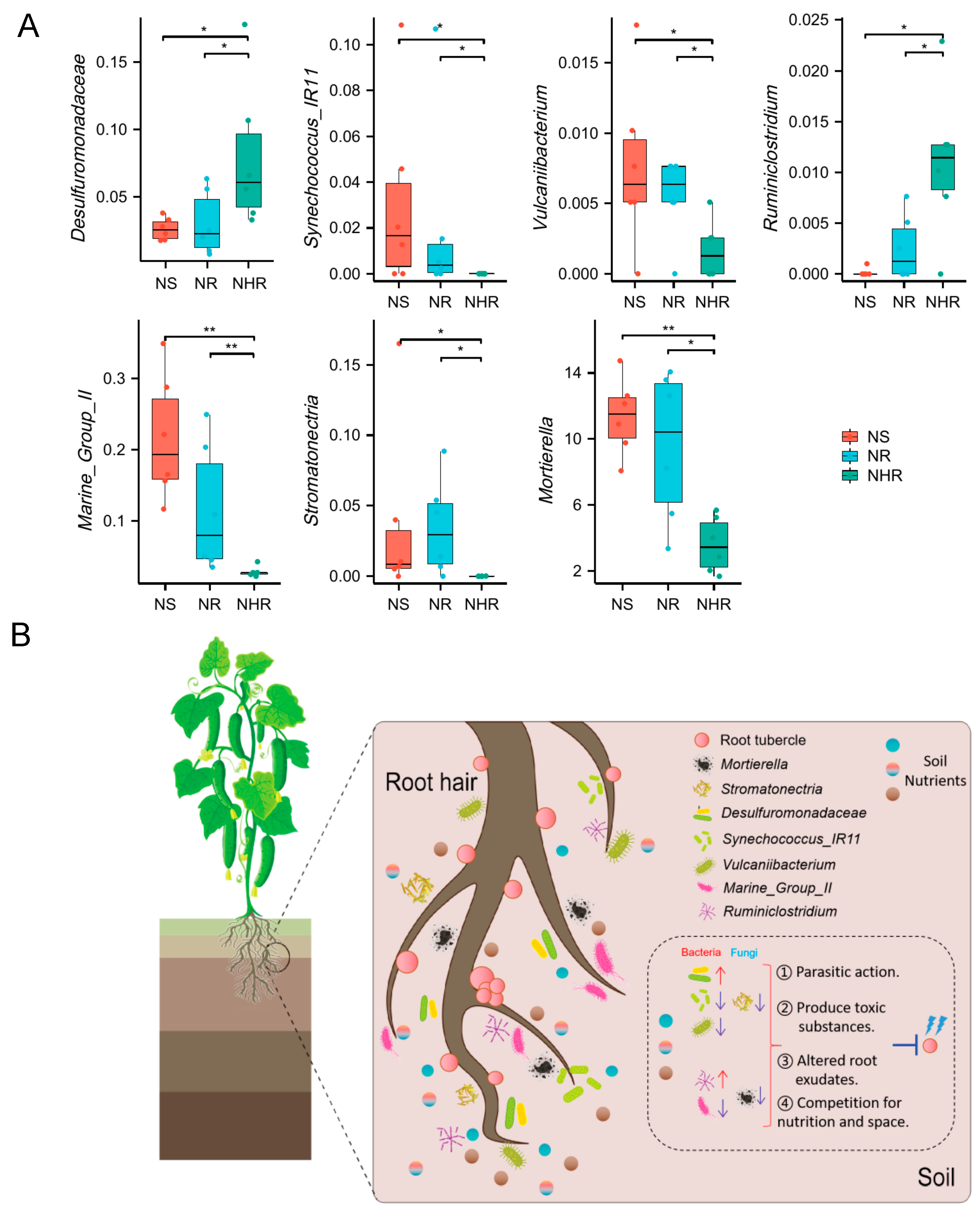 Agronomy 13 01726 g006 Agronomy 13 01726 g006